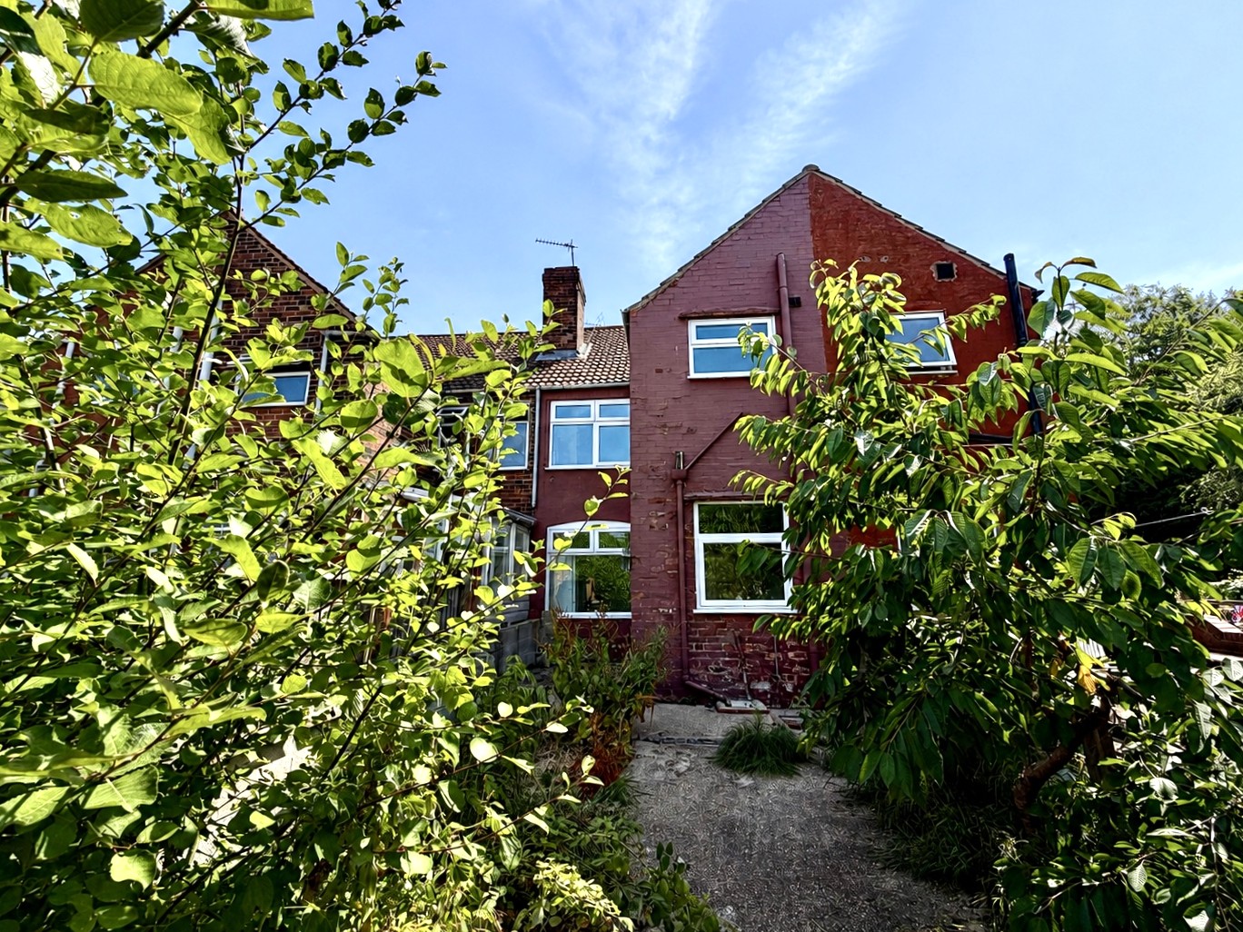Image 8 of 8