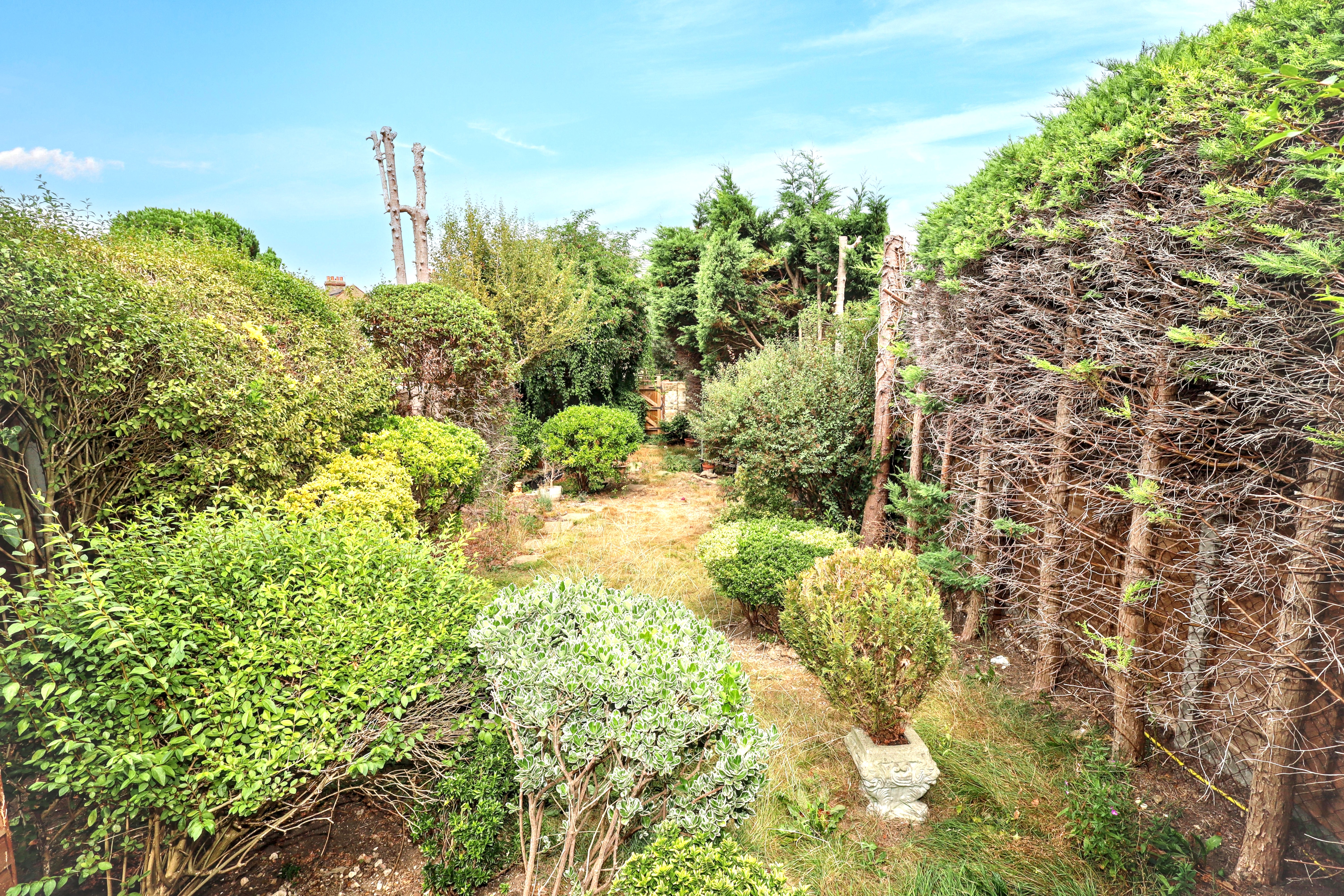 Image 18 of 20