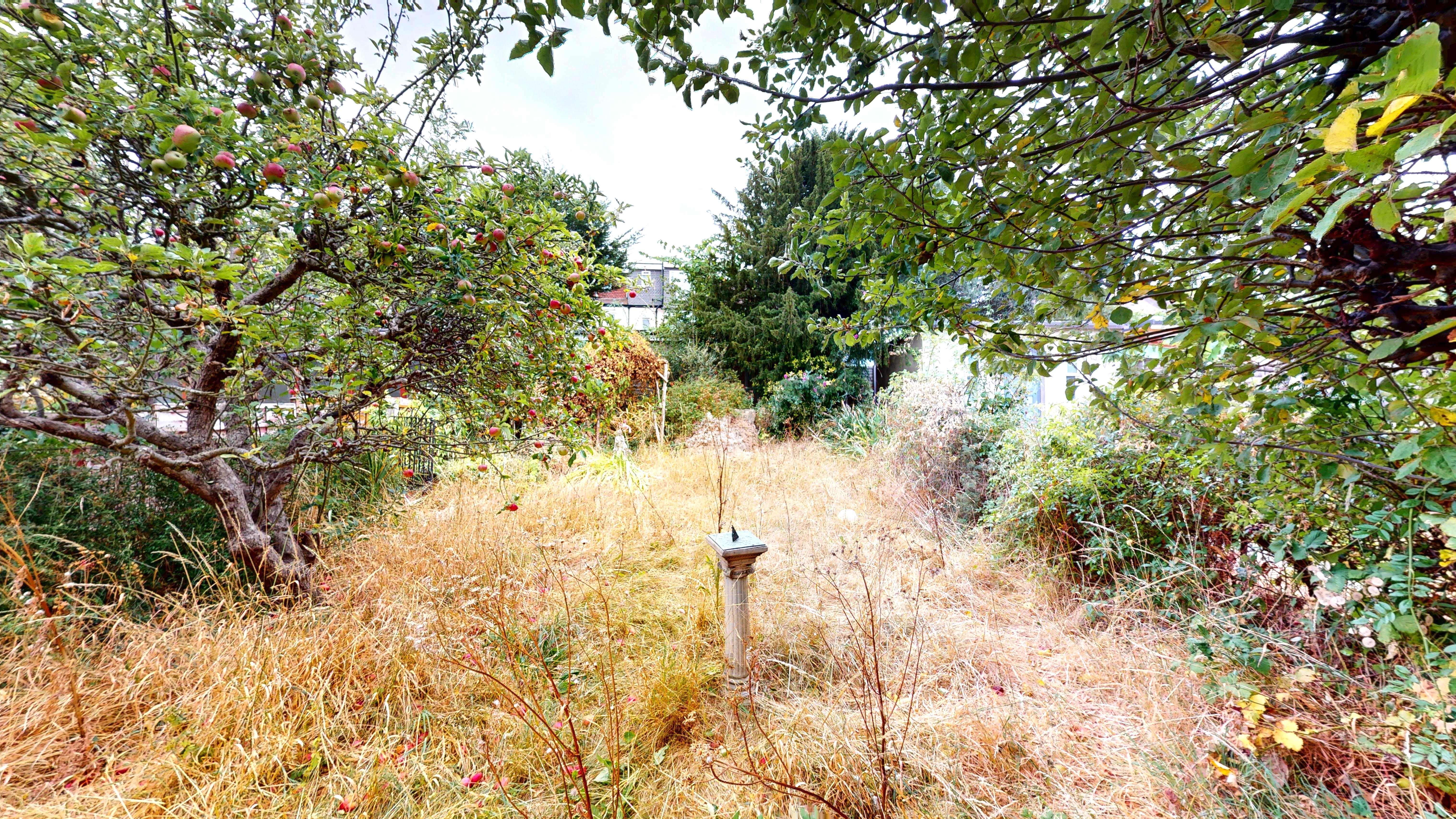 Image 15 of 16