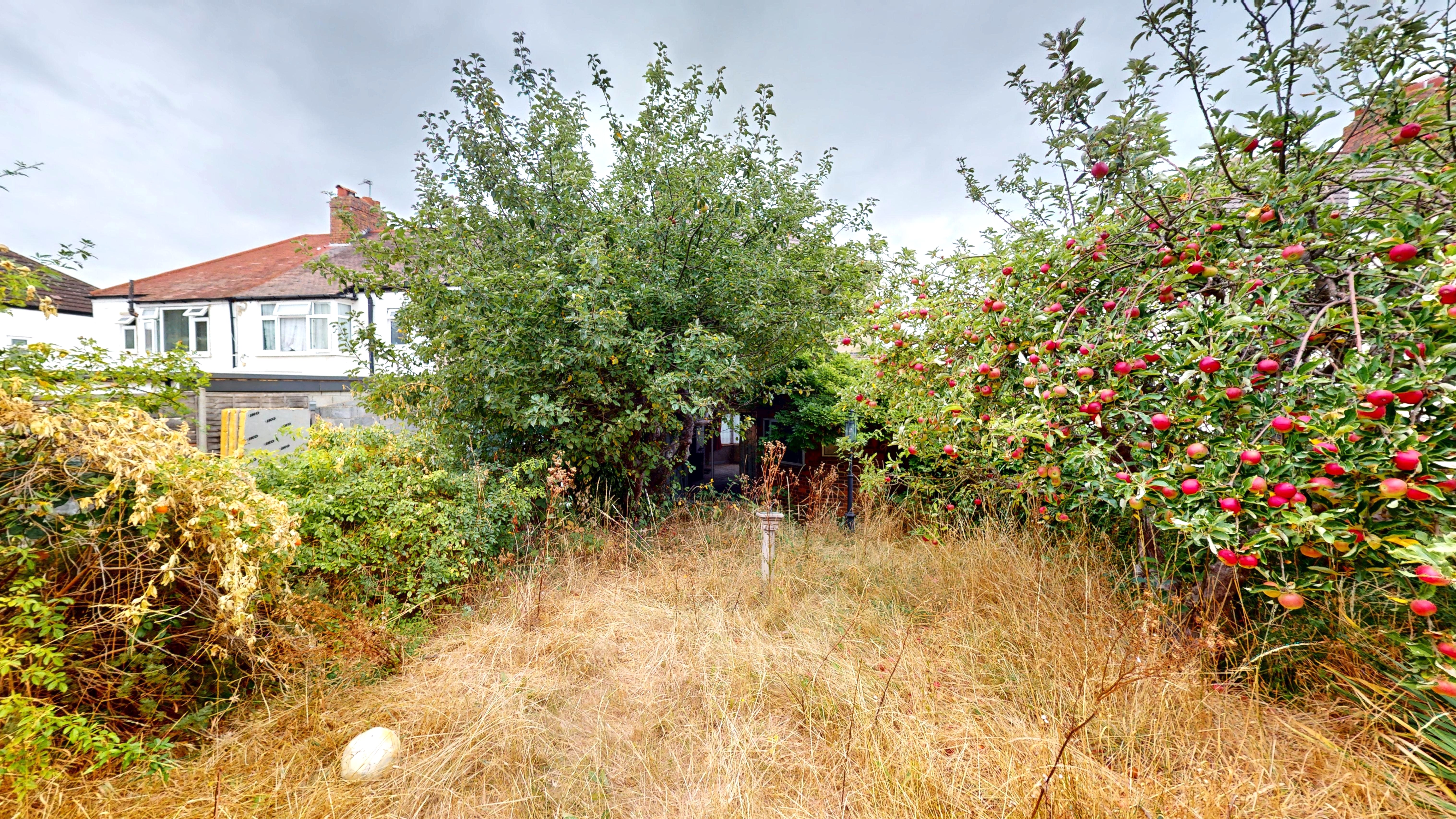 Image 16 of 16