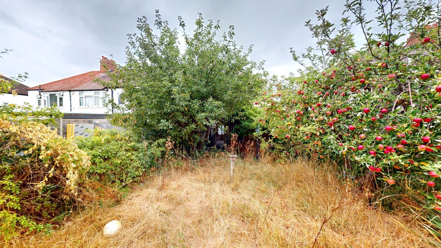 Image 16 of 16