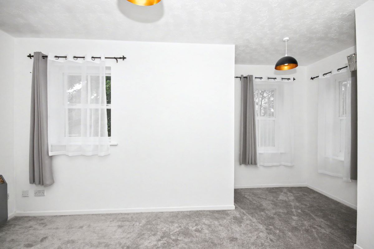 Image 2 of 12