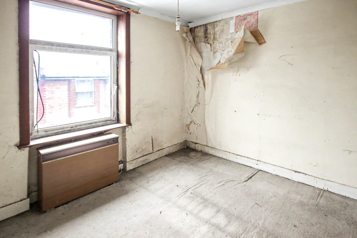 Image 7 of 21