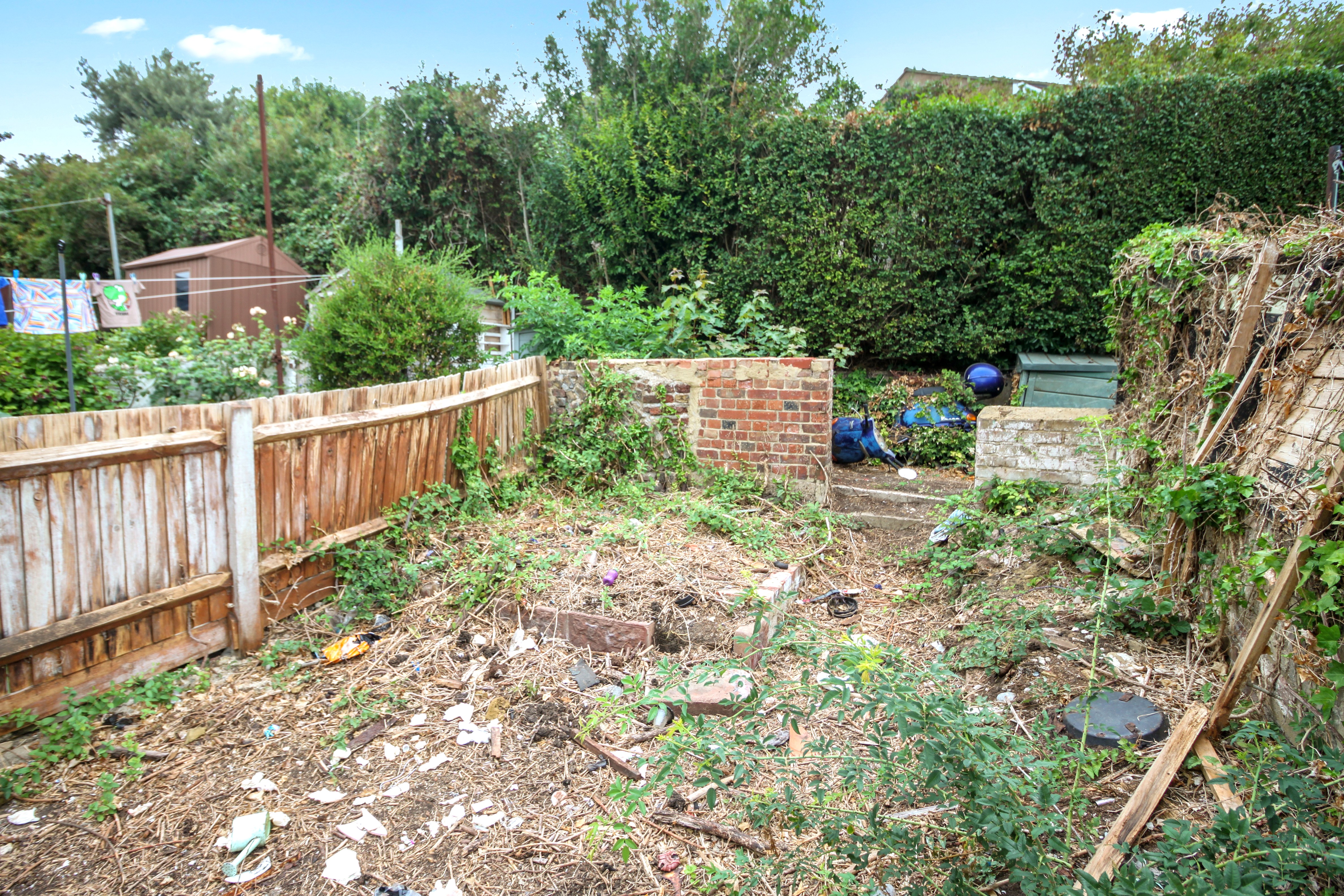 Image 19 of 21