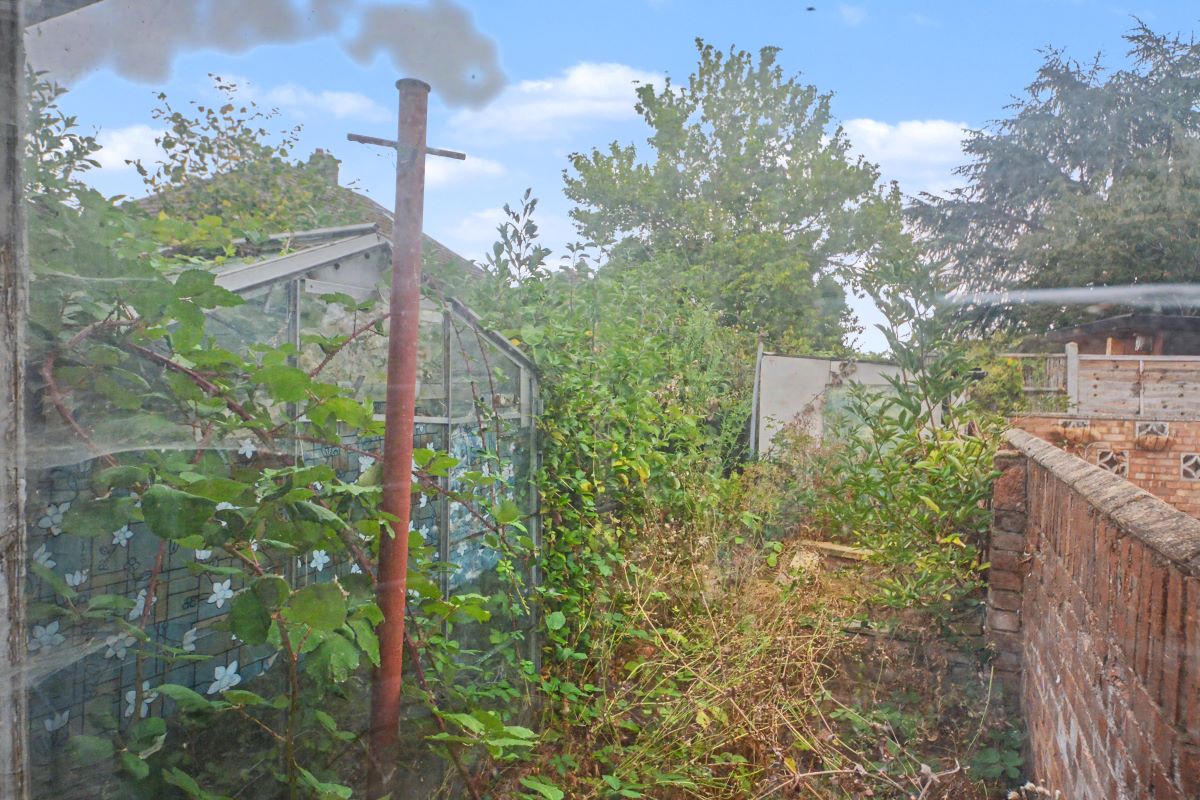 Image 21 of 23