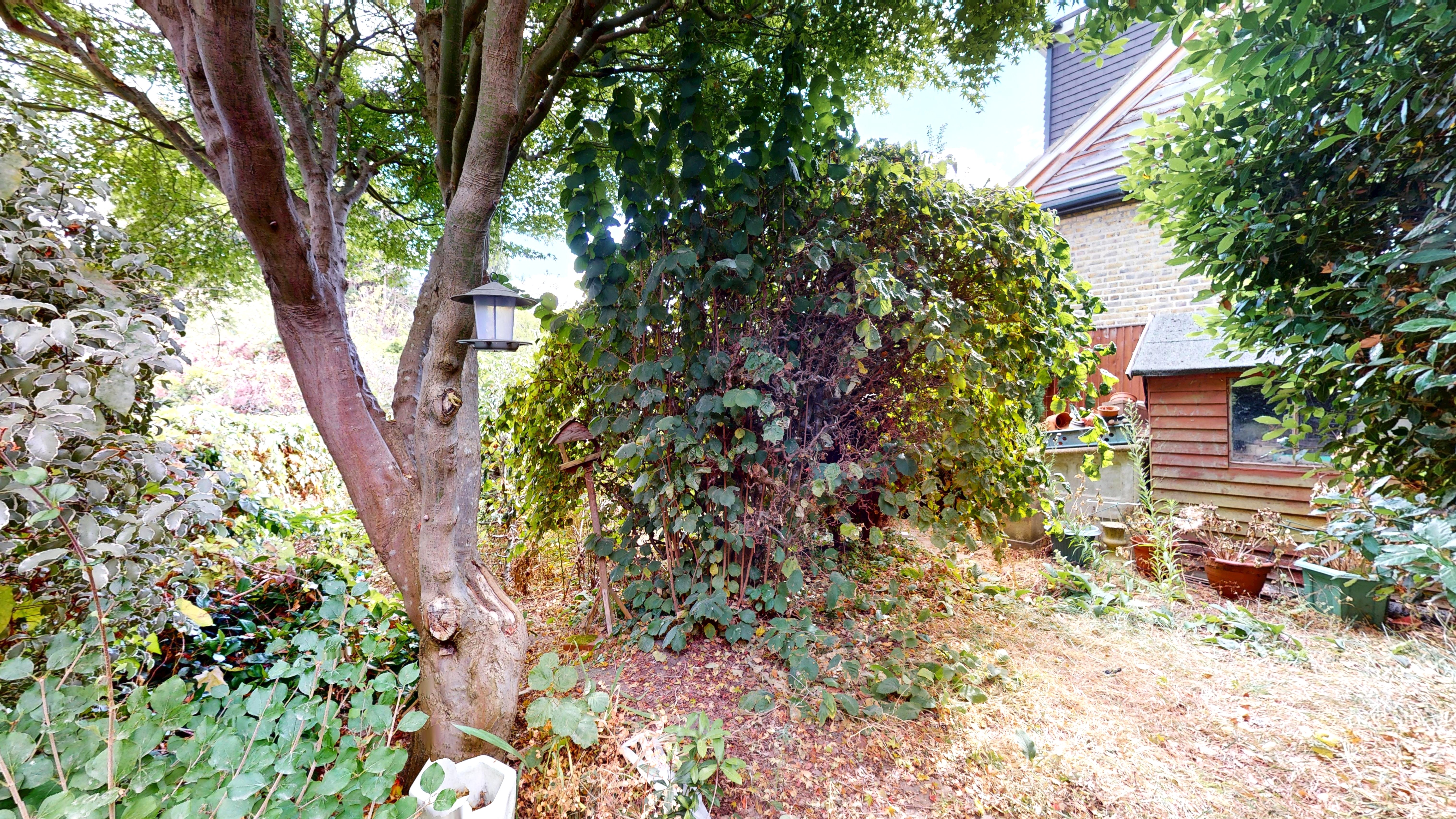 Image 8 of 9