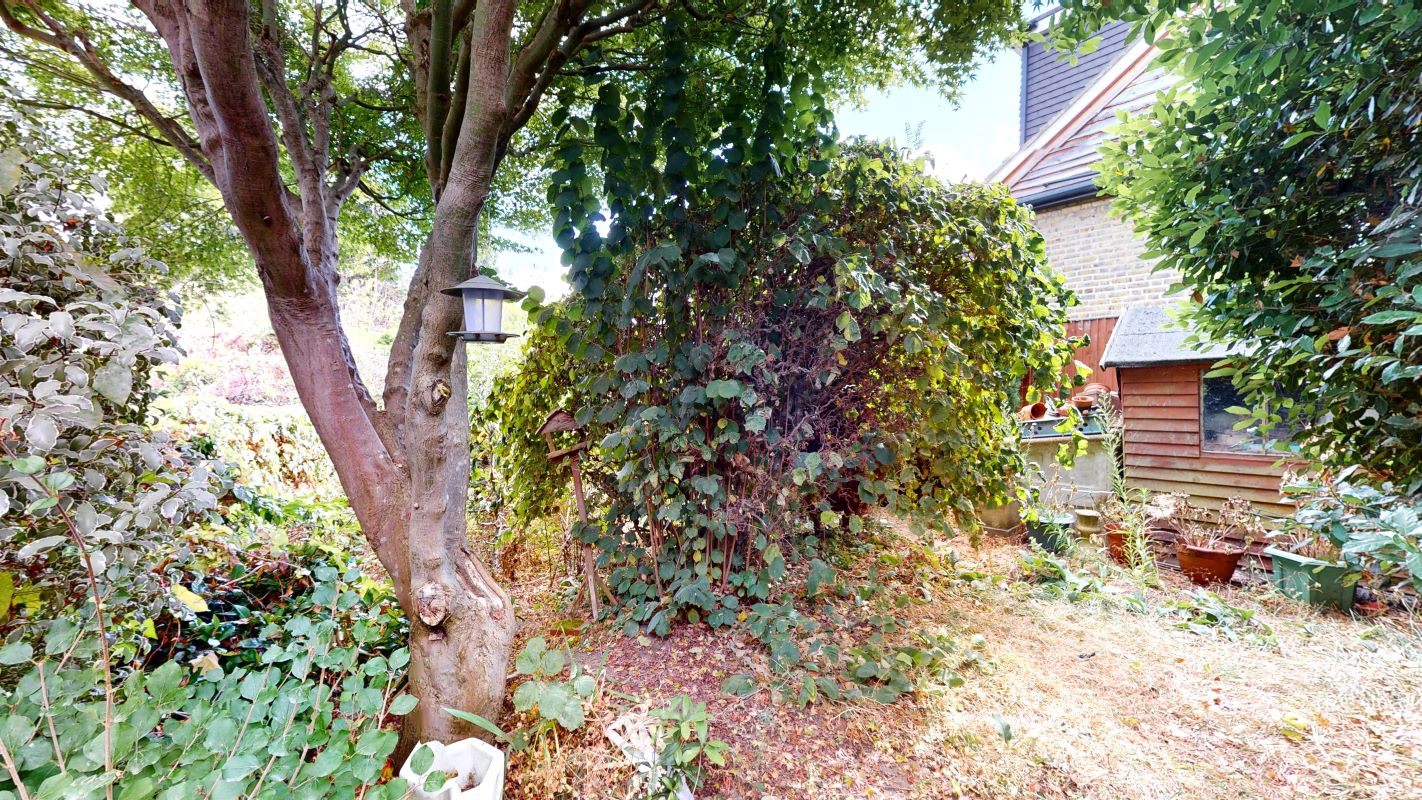 Image 8 of 9