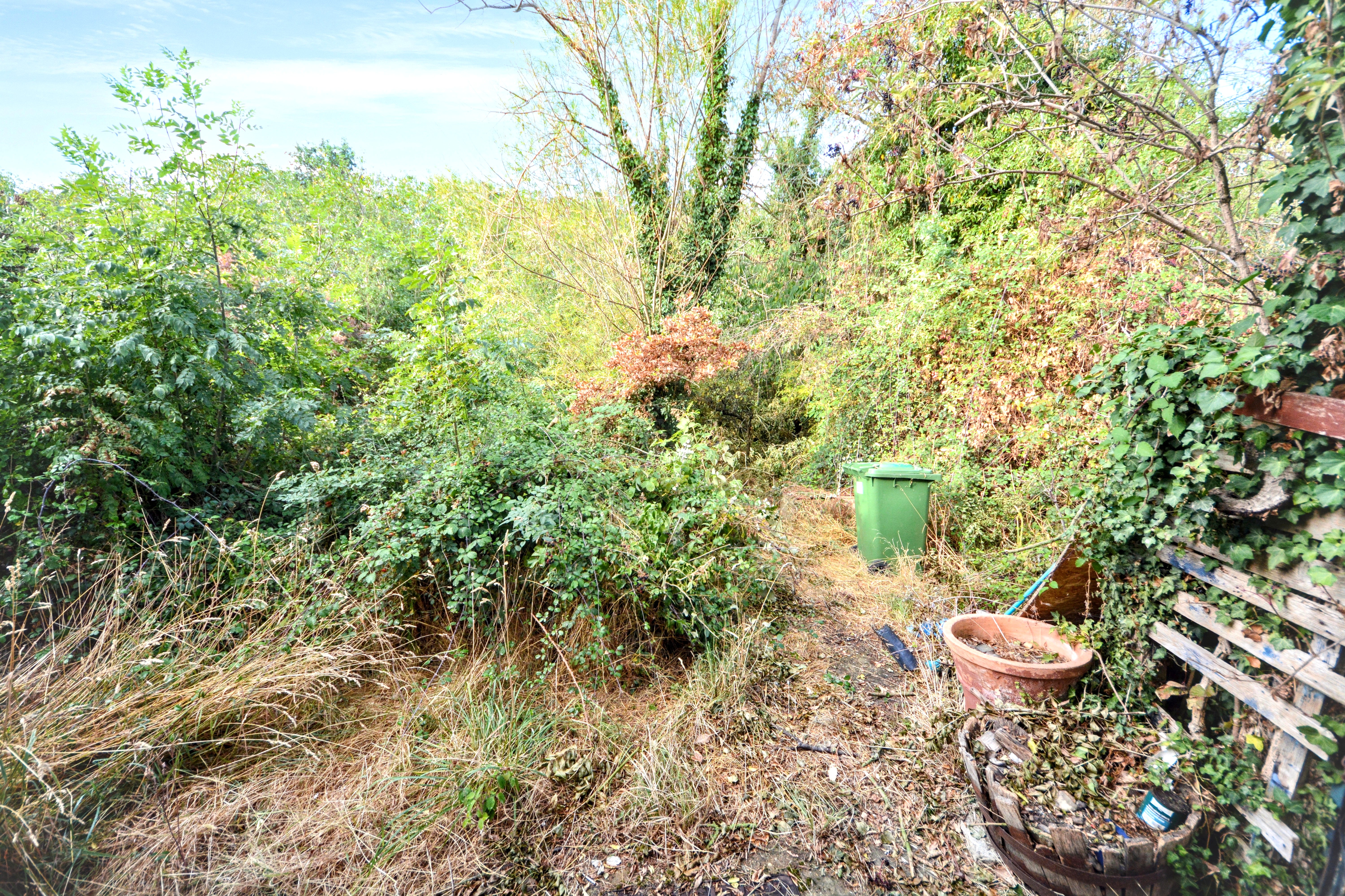 Image 16 of 18