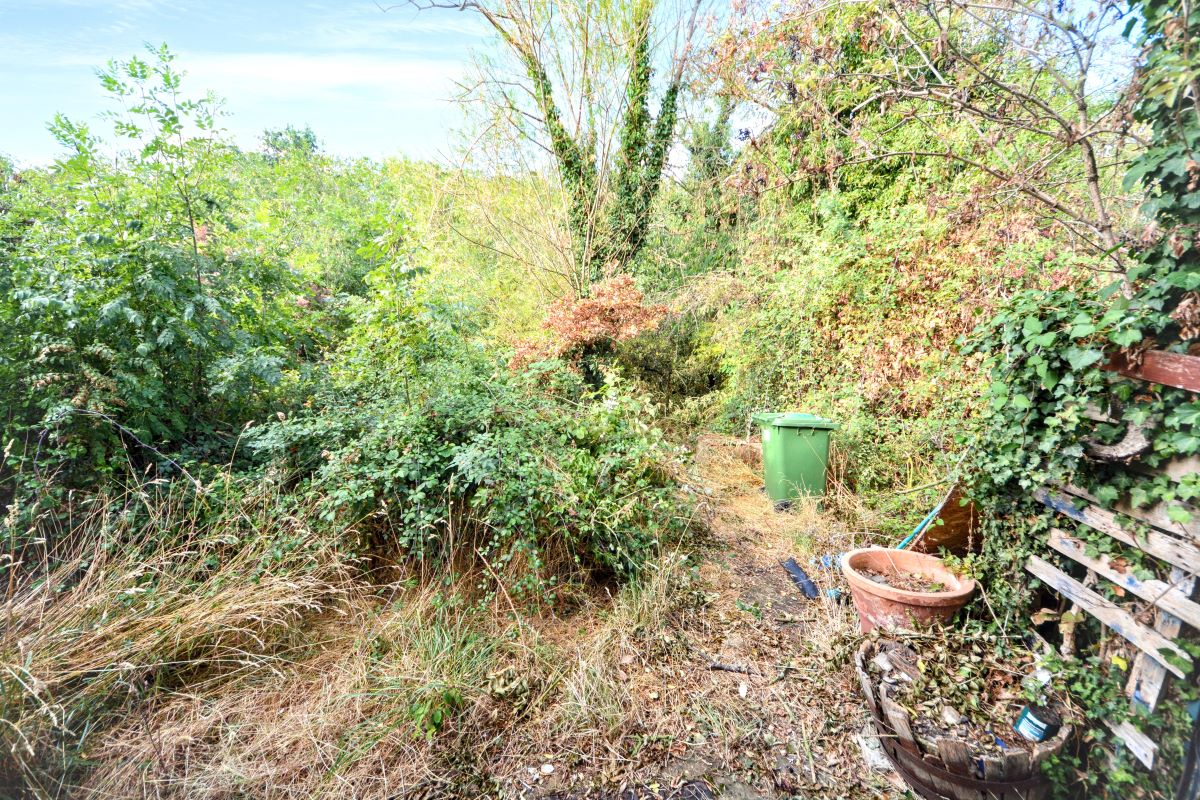 Image 16 of 18