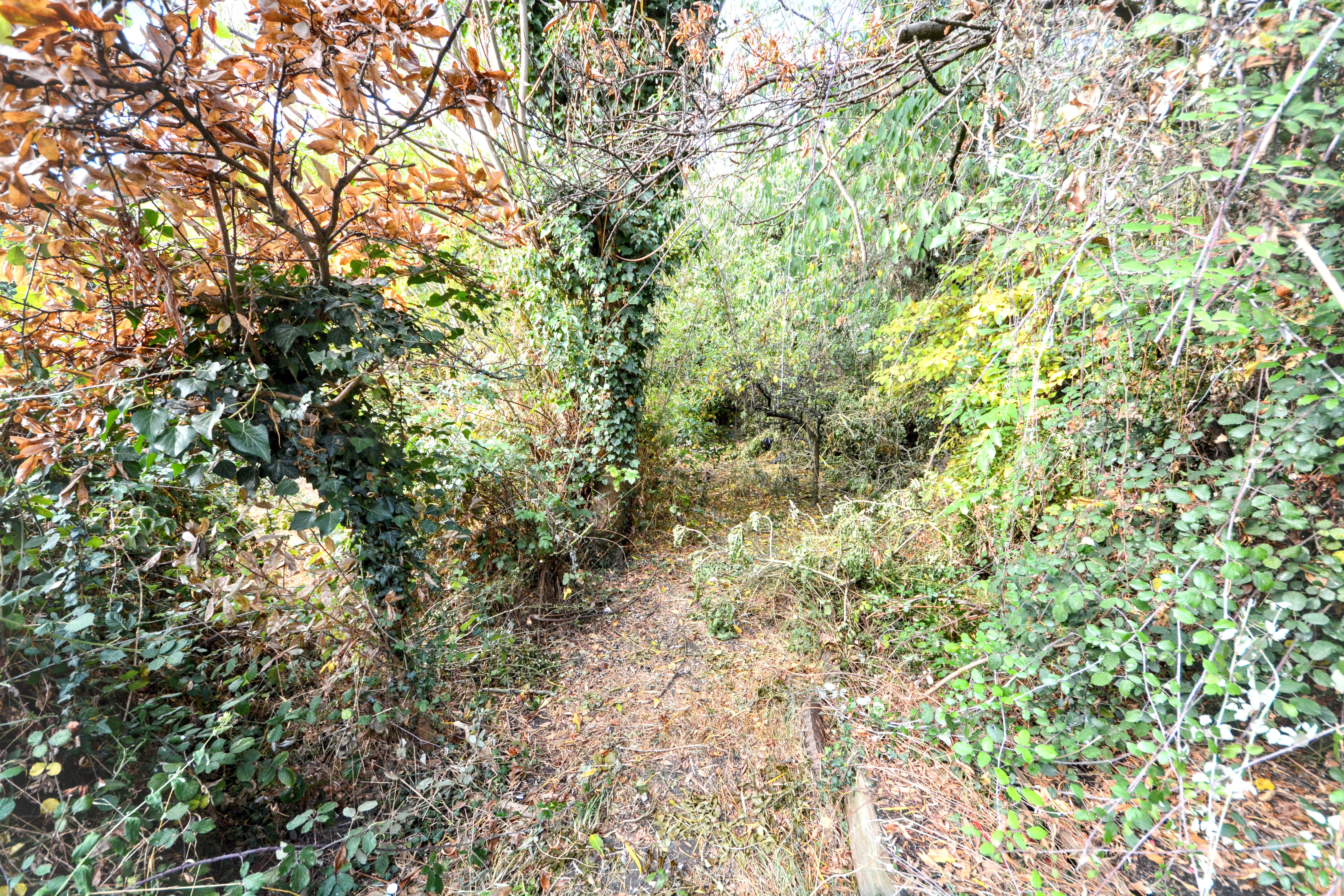 Image 17 of 18