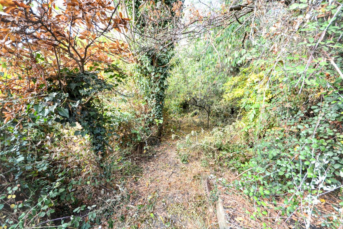 Image 17 of 18
