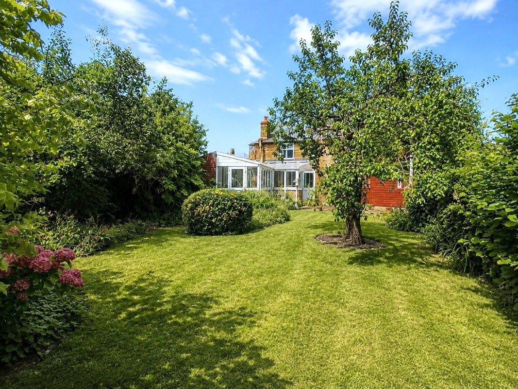 Image 15 of 17
