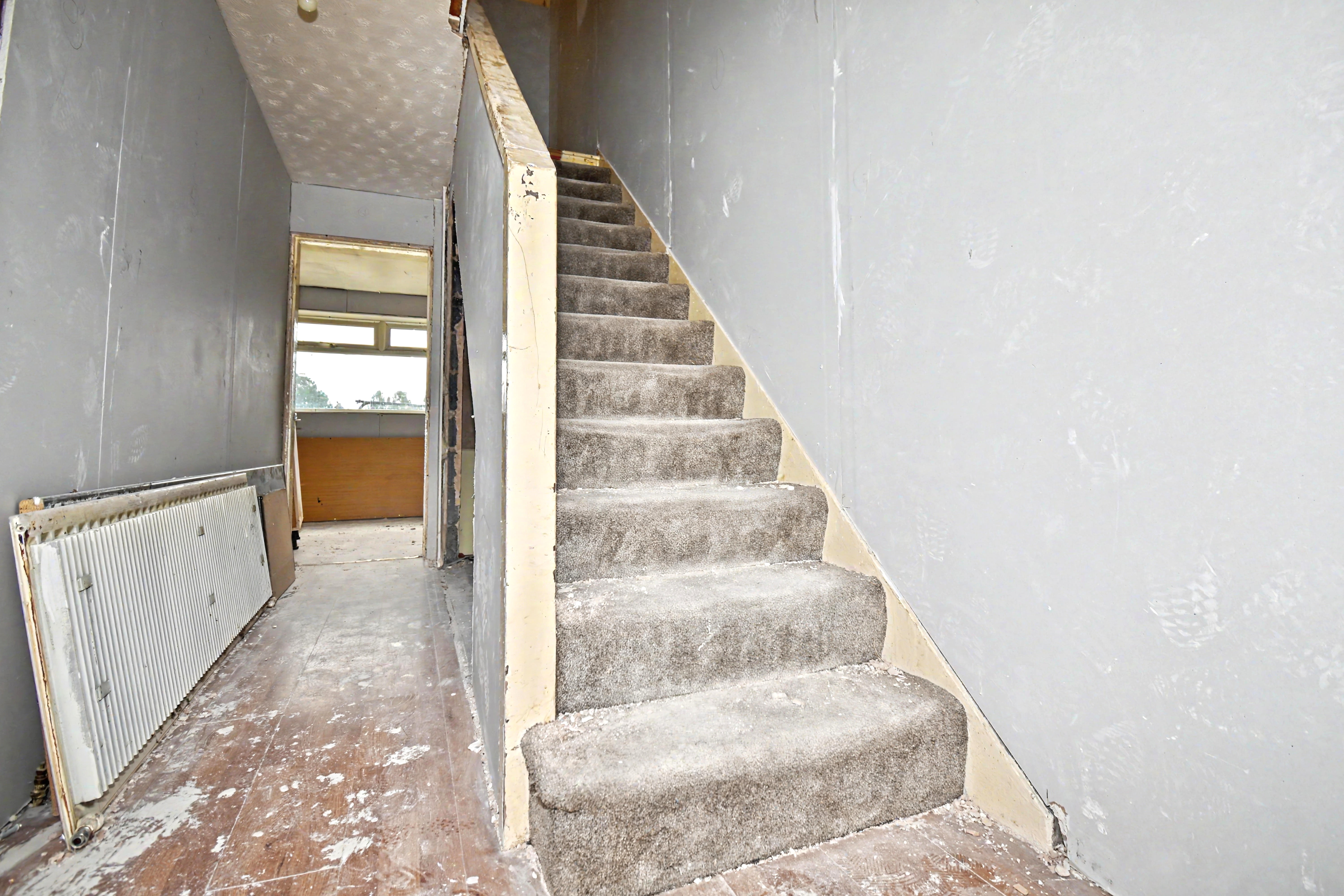 Image 14 of 17