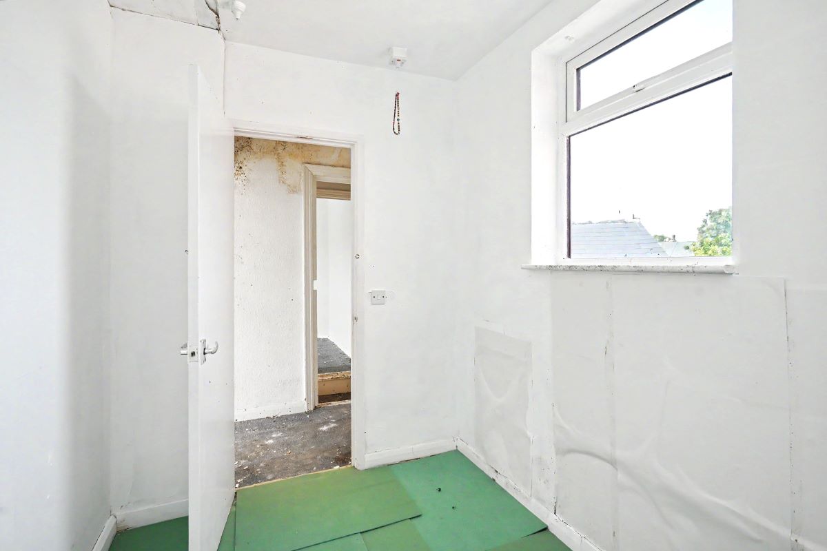 Image 12 of 17
