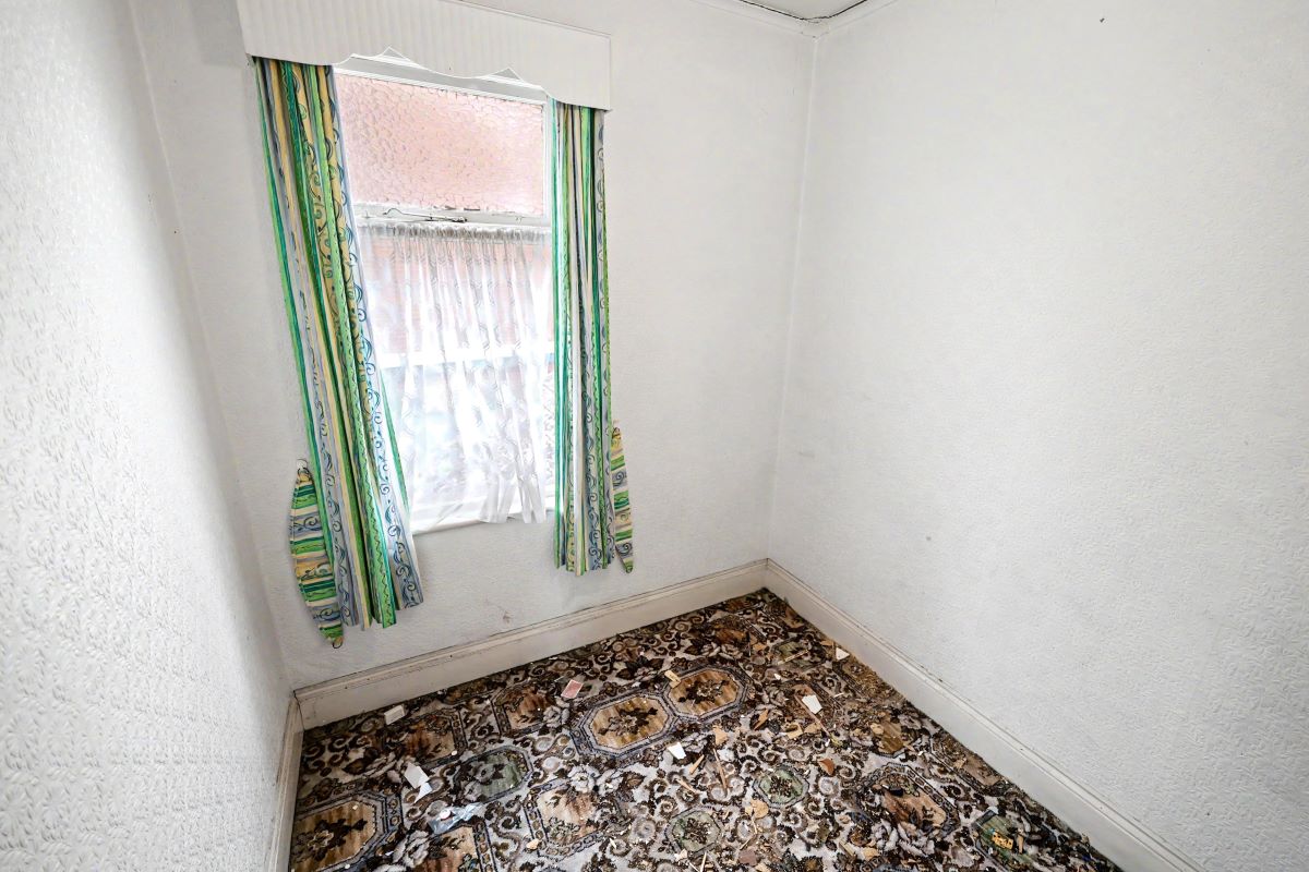 Image 11 of 14