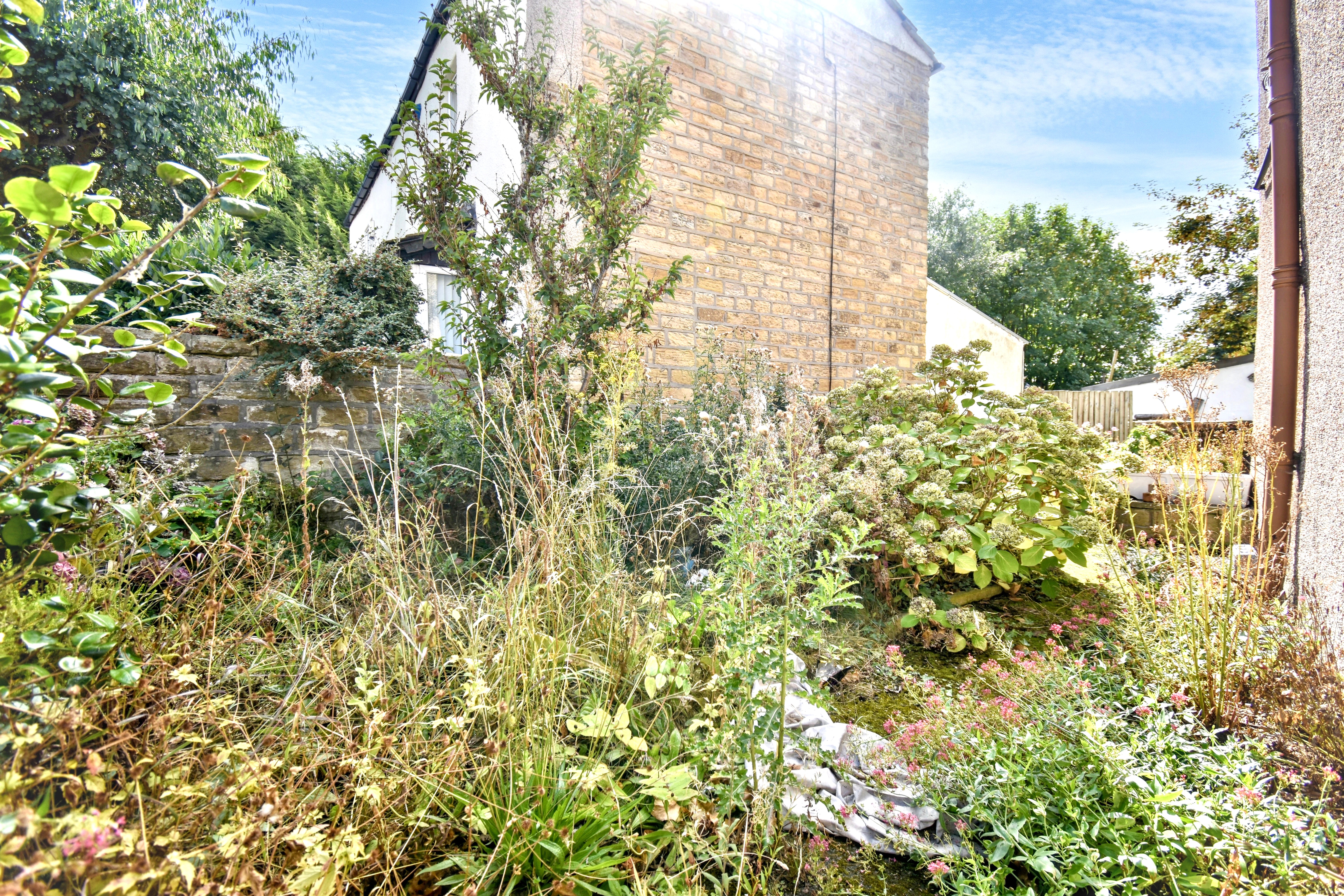 Image 14 of 16