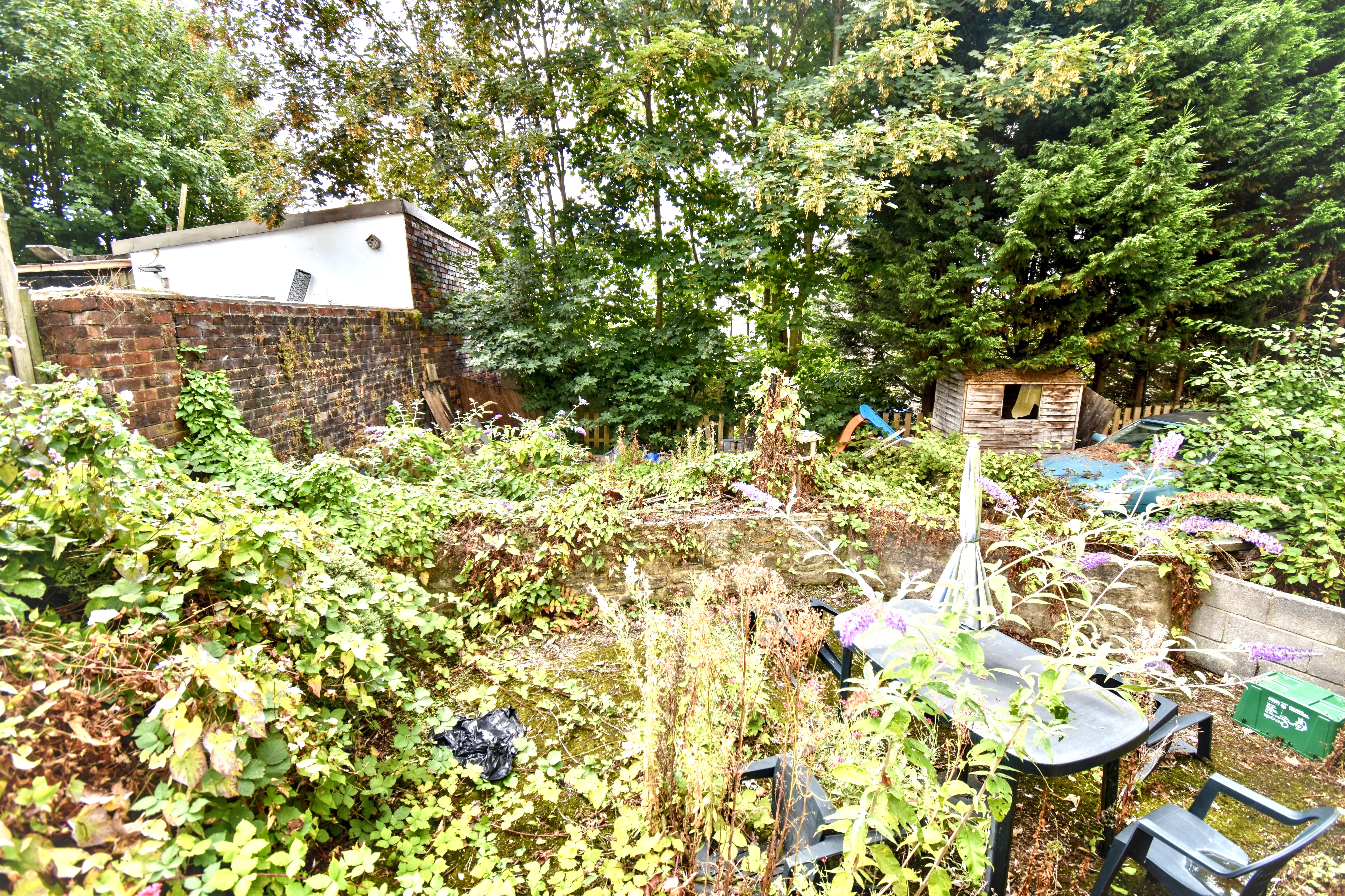 Image 13 of 16