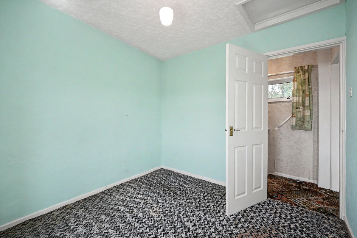 Image 11 of 19