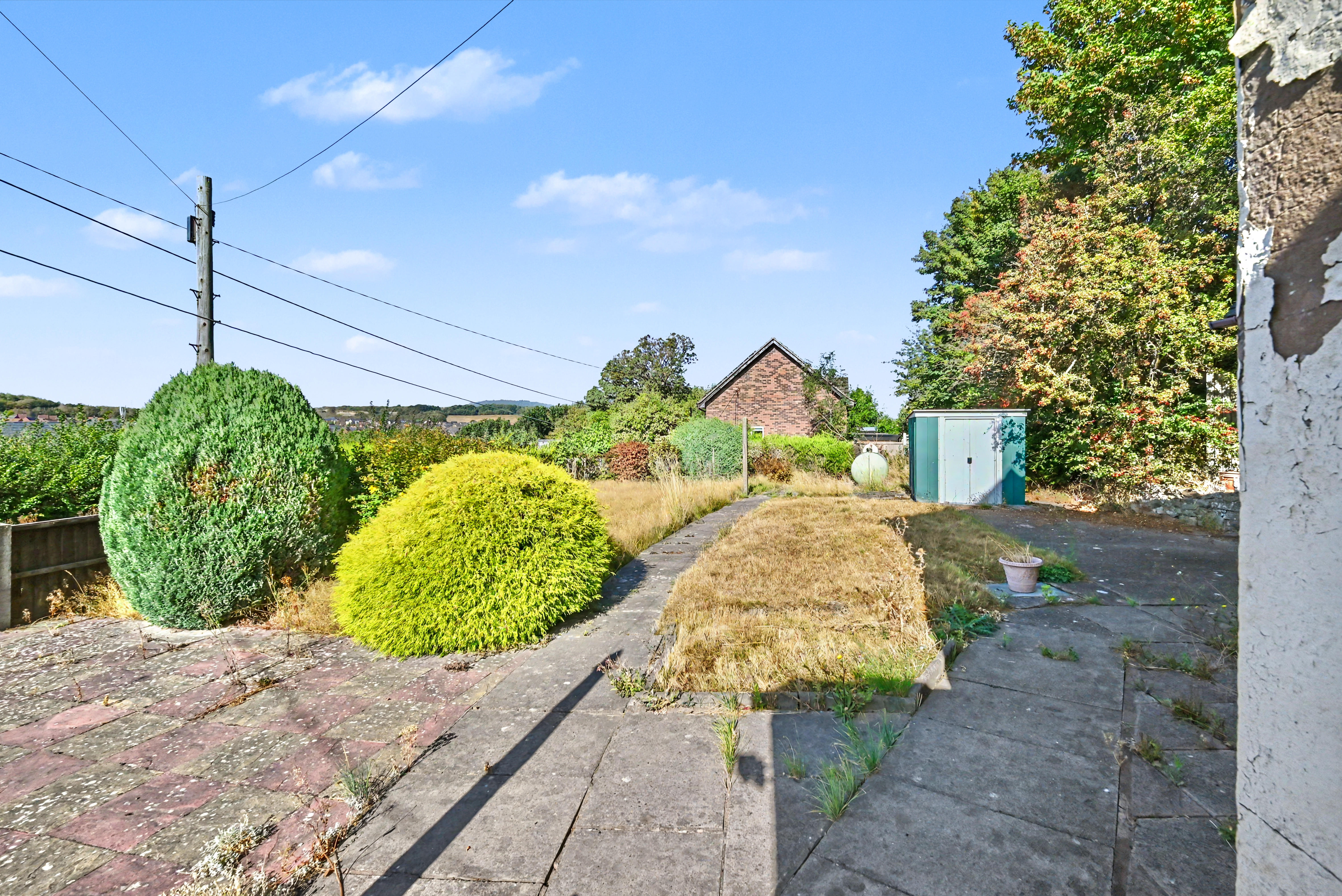 Image 14 of 19