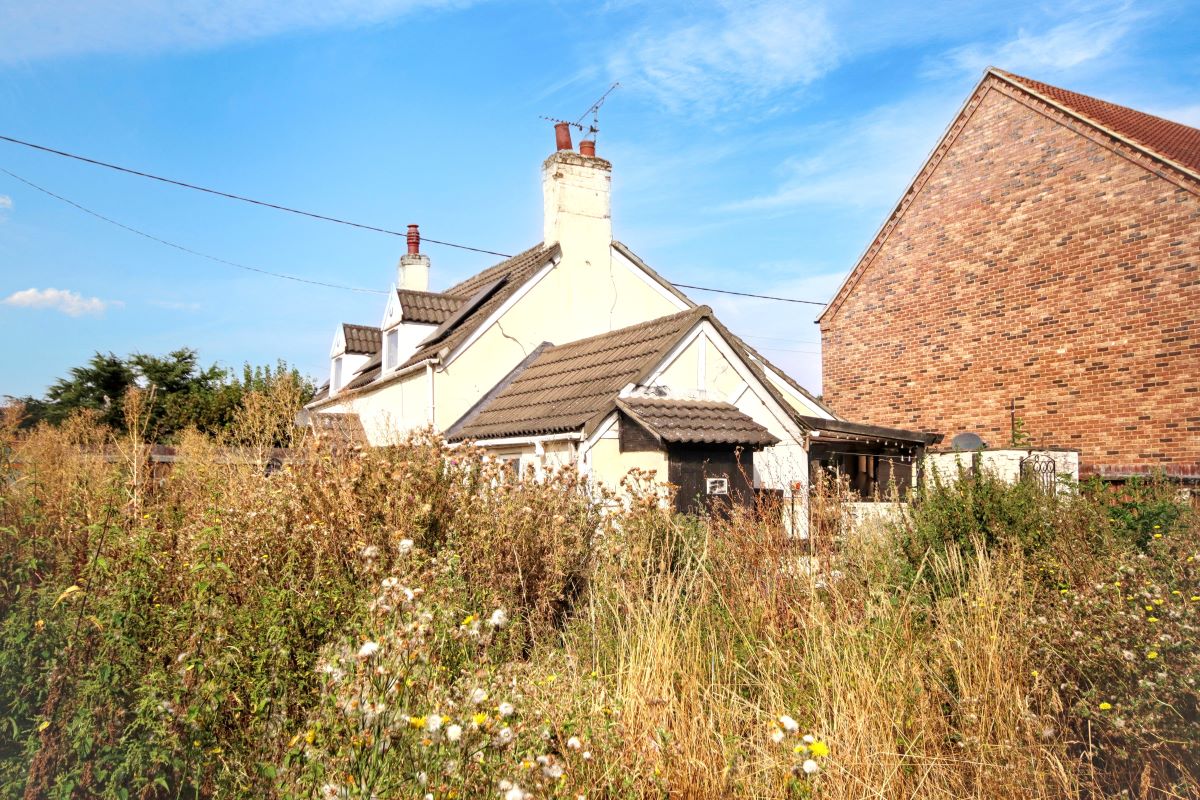 Image 20 of 21
