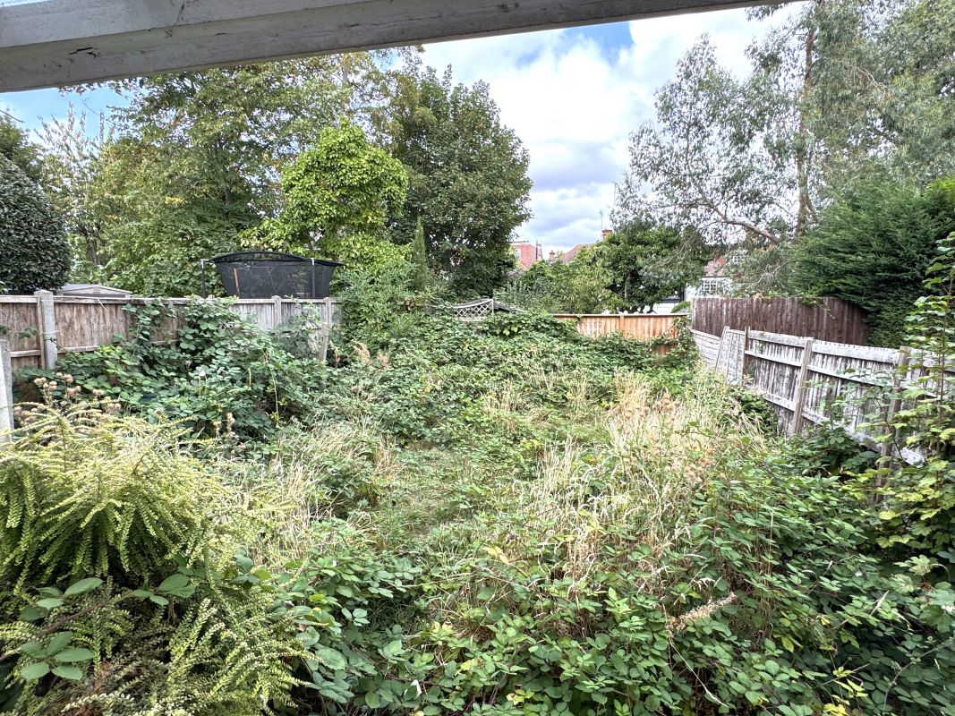 Image 21 of 22