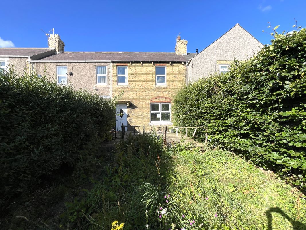 Image 11 of 11