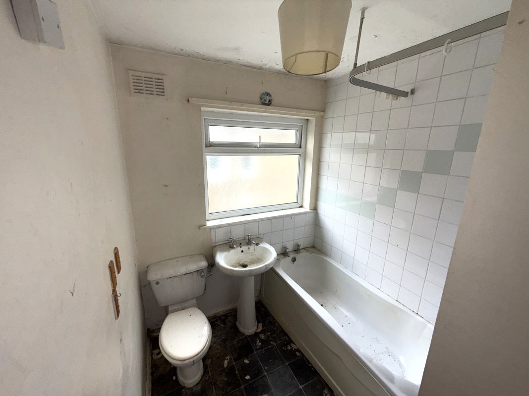 Image 8 of 8
