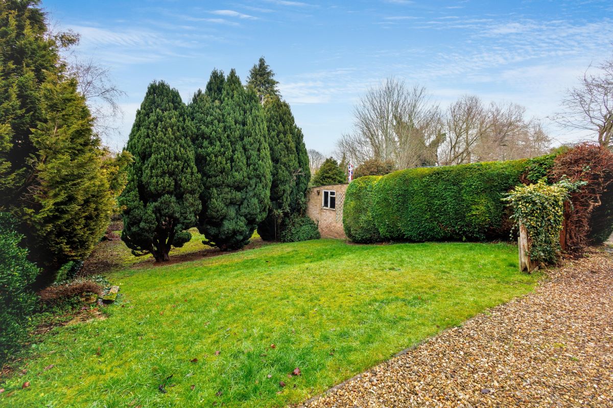 Image 17 of 25