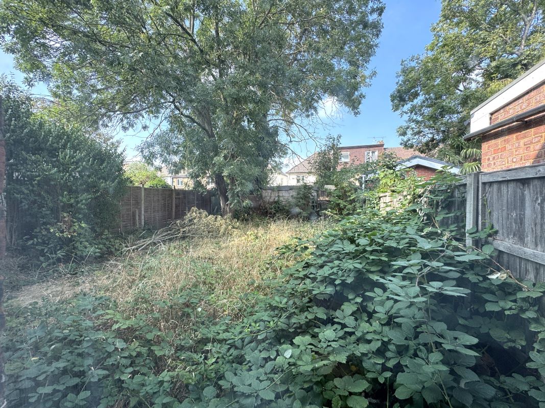 Image 20 of 21