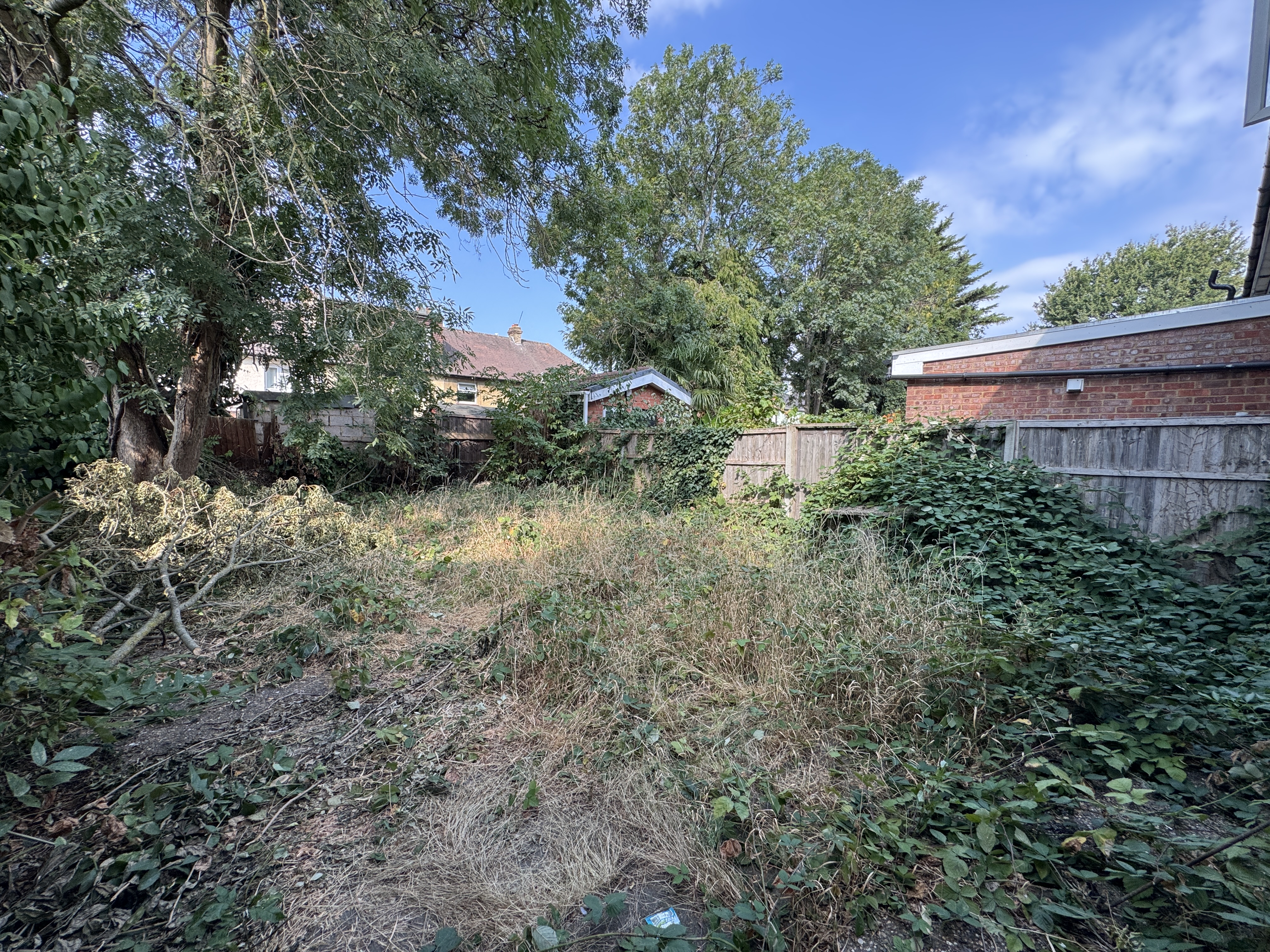 Image 19 of 21