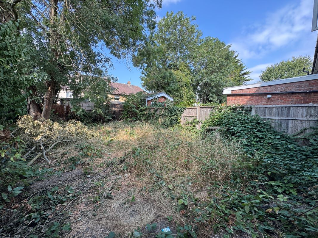 Image 19 of 21