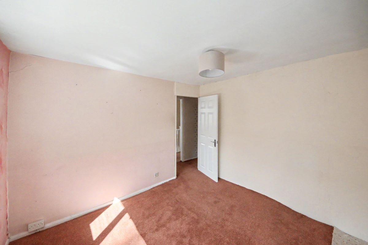 Image 7 of 16