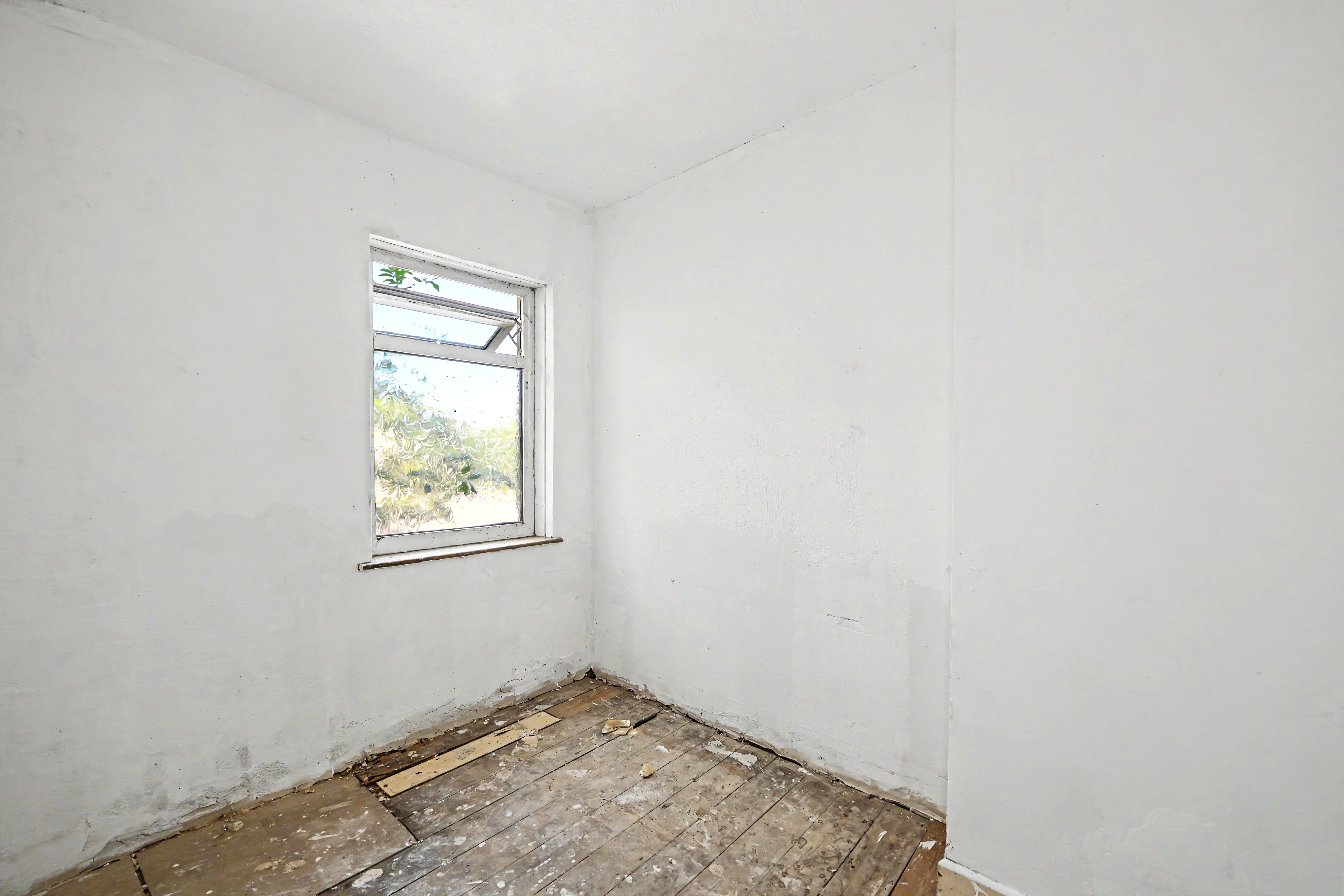 Image 8 of 14