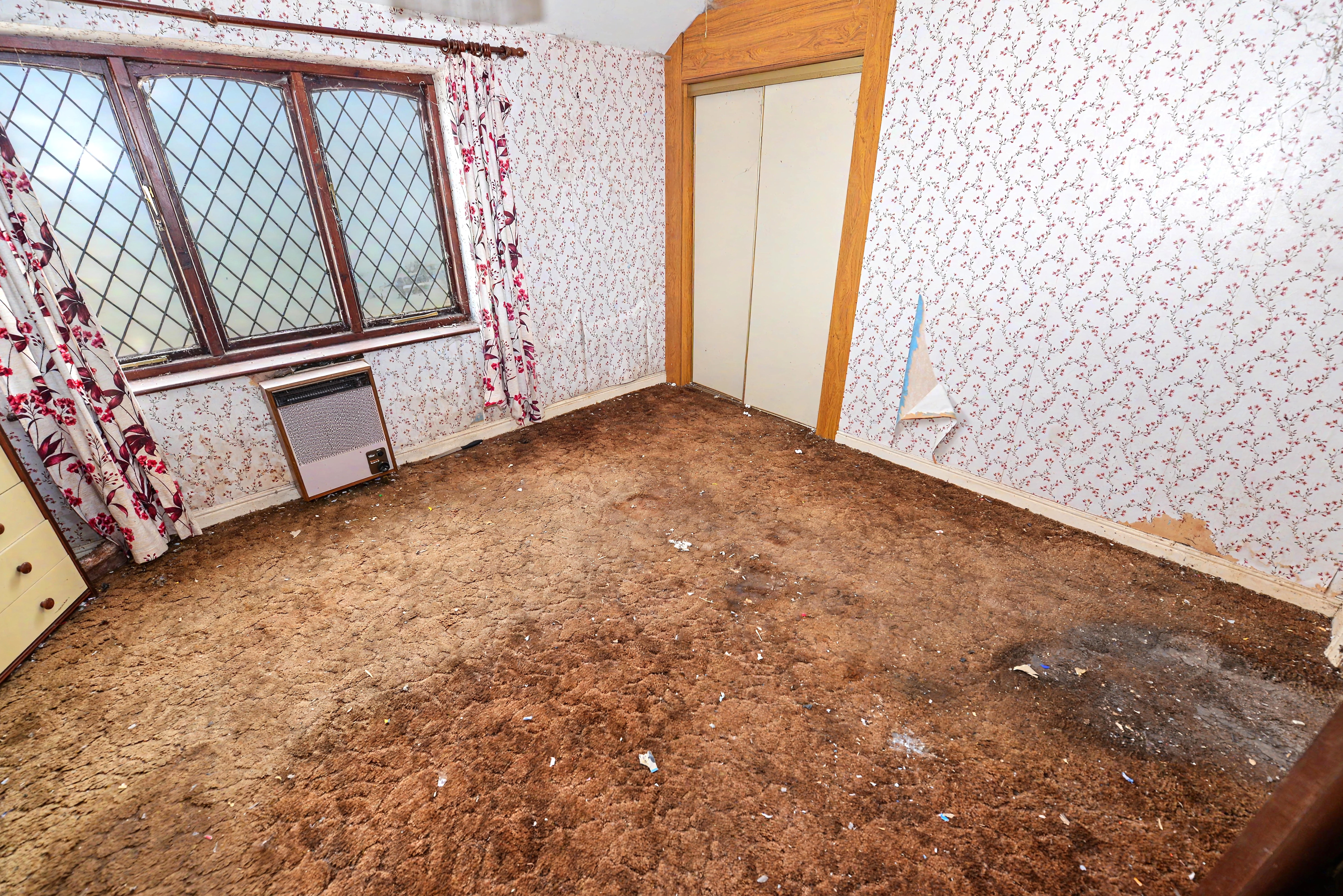 Image 11 of 14