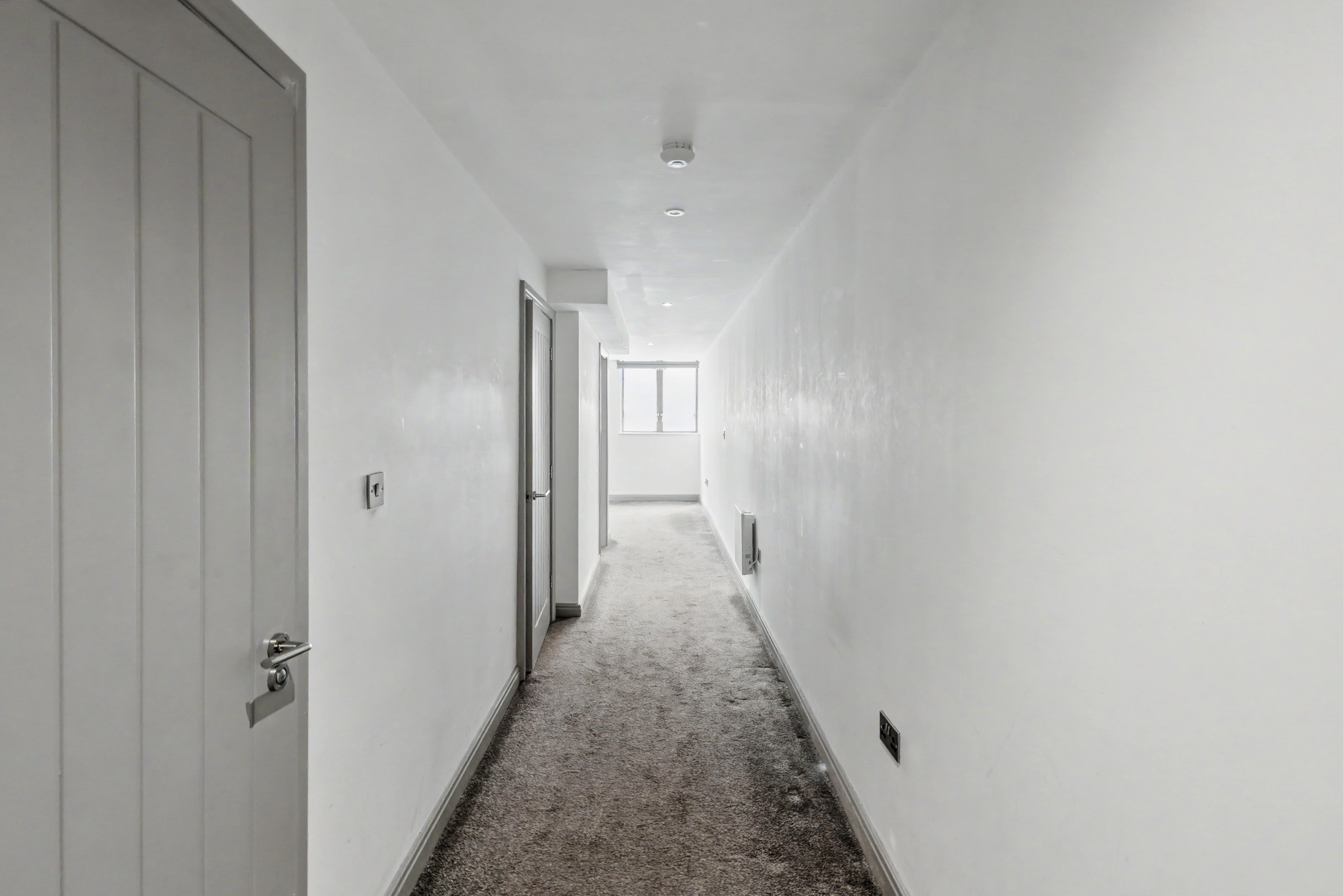 Image 12 of 14