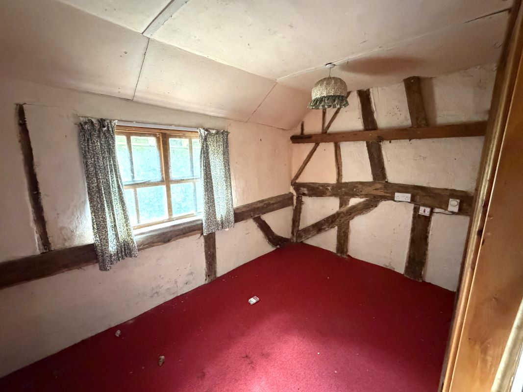 Image 8 of 11