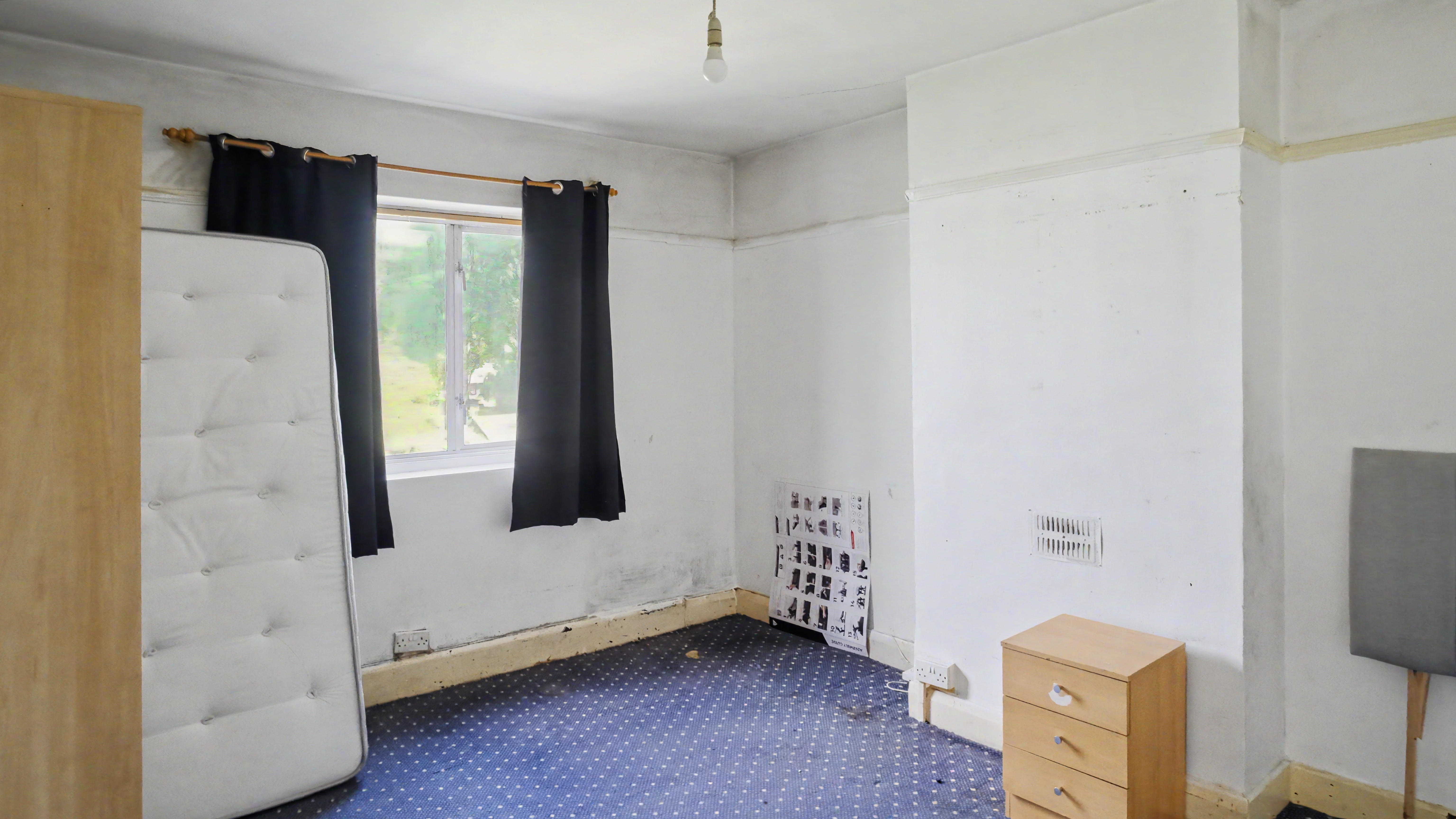Image 12 of 24
