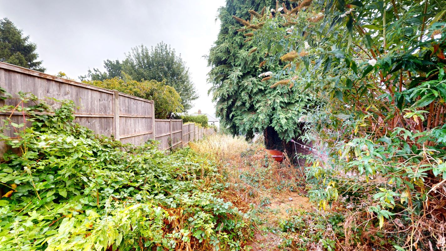Image 14 of 14