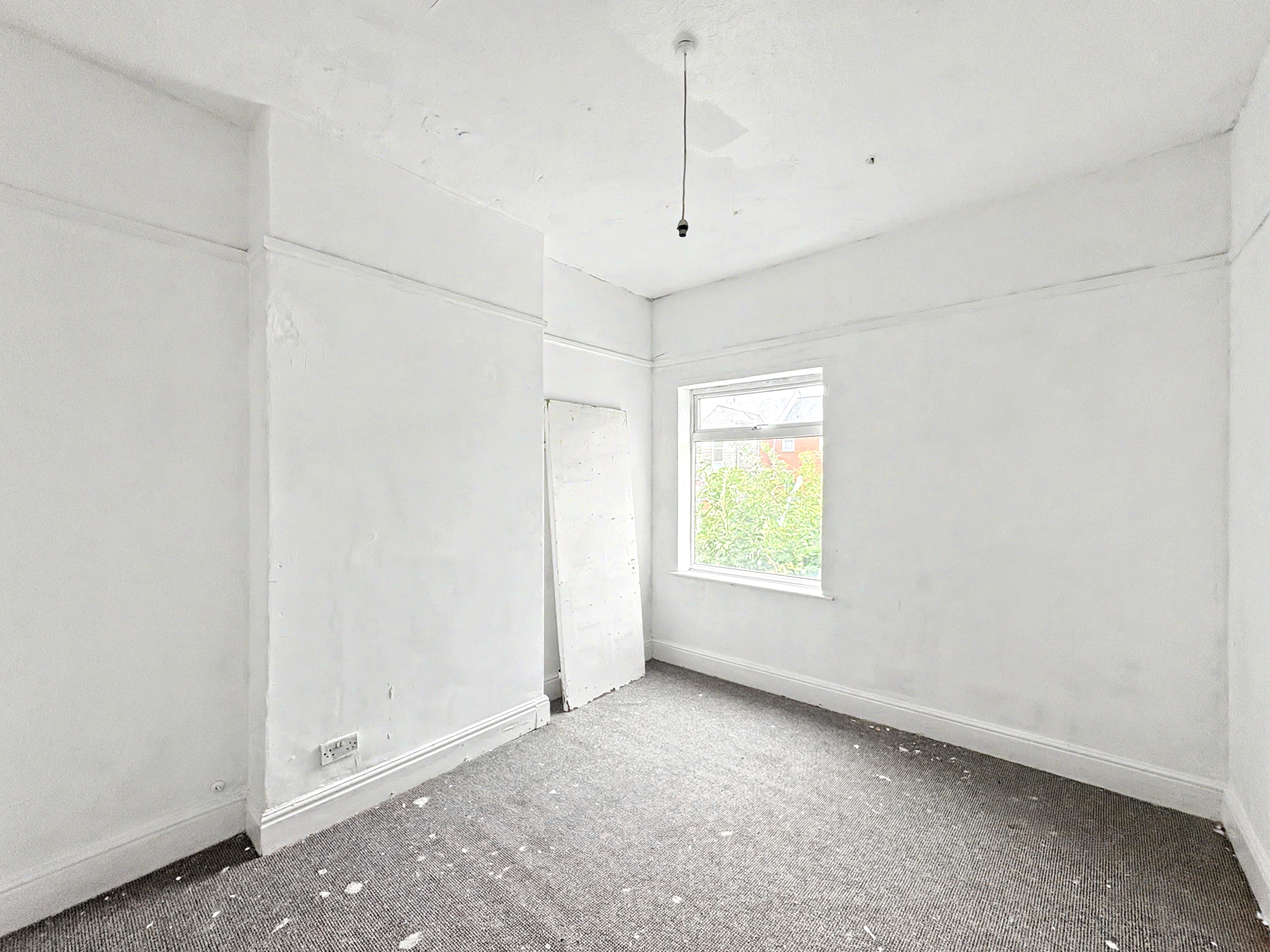 Image 11 of 16