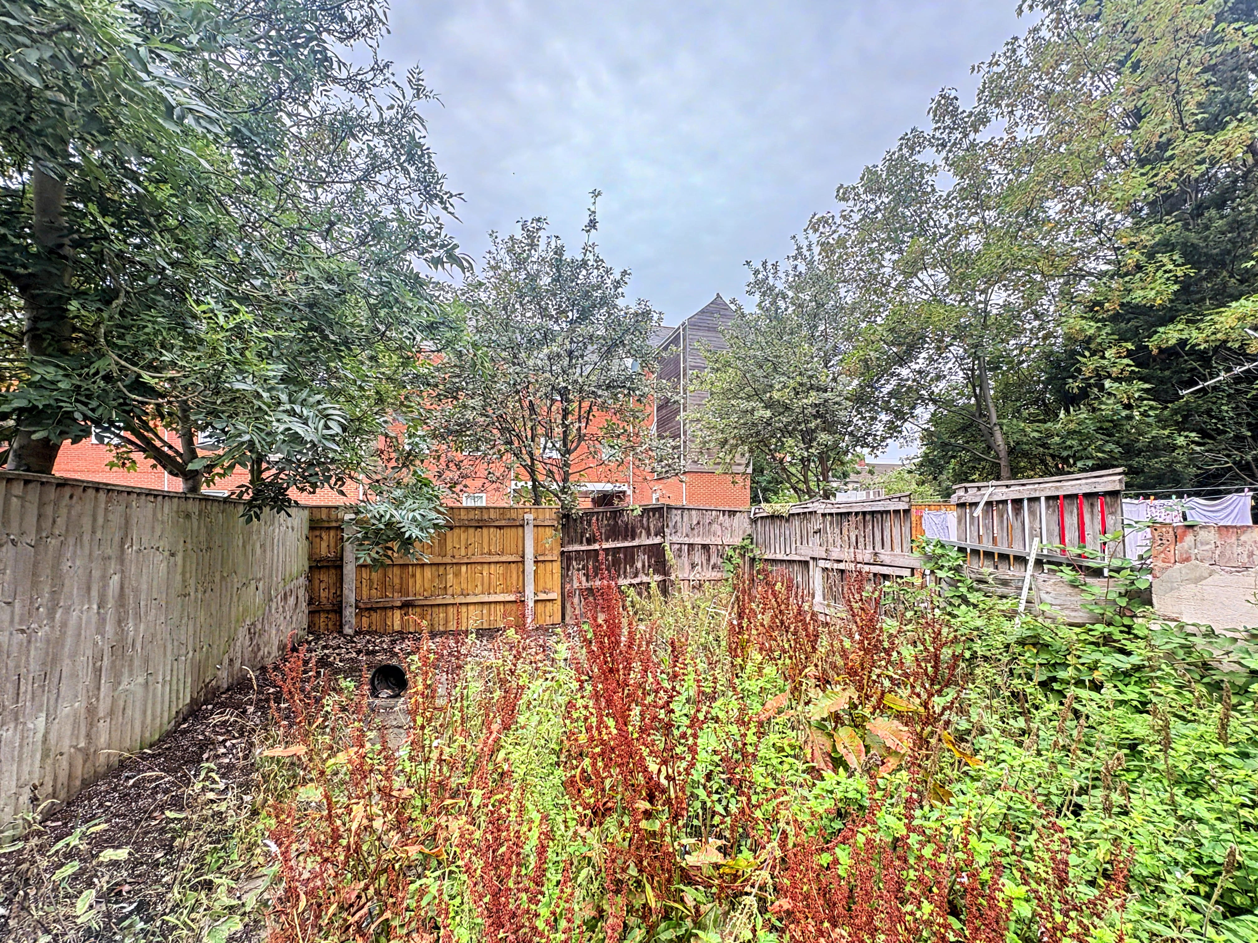Image 14 of 16