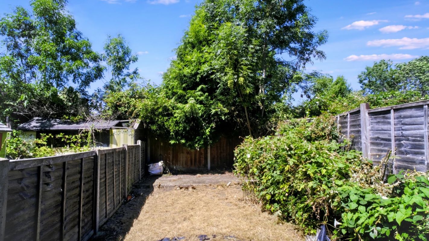 Image 10 of 12