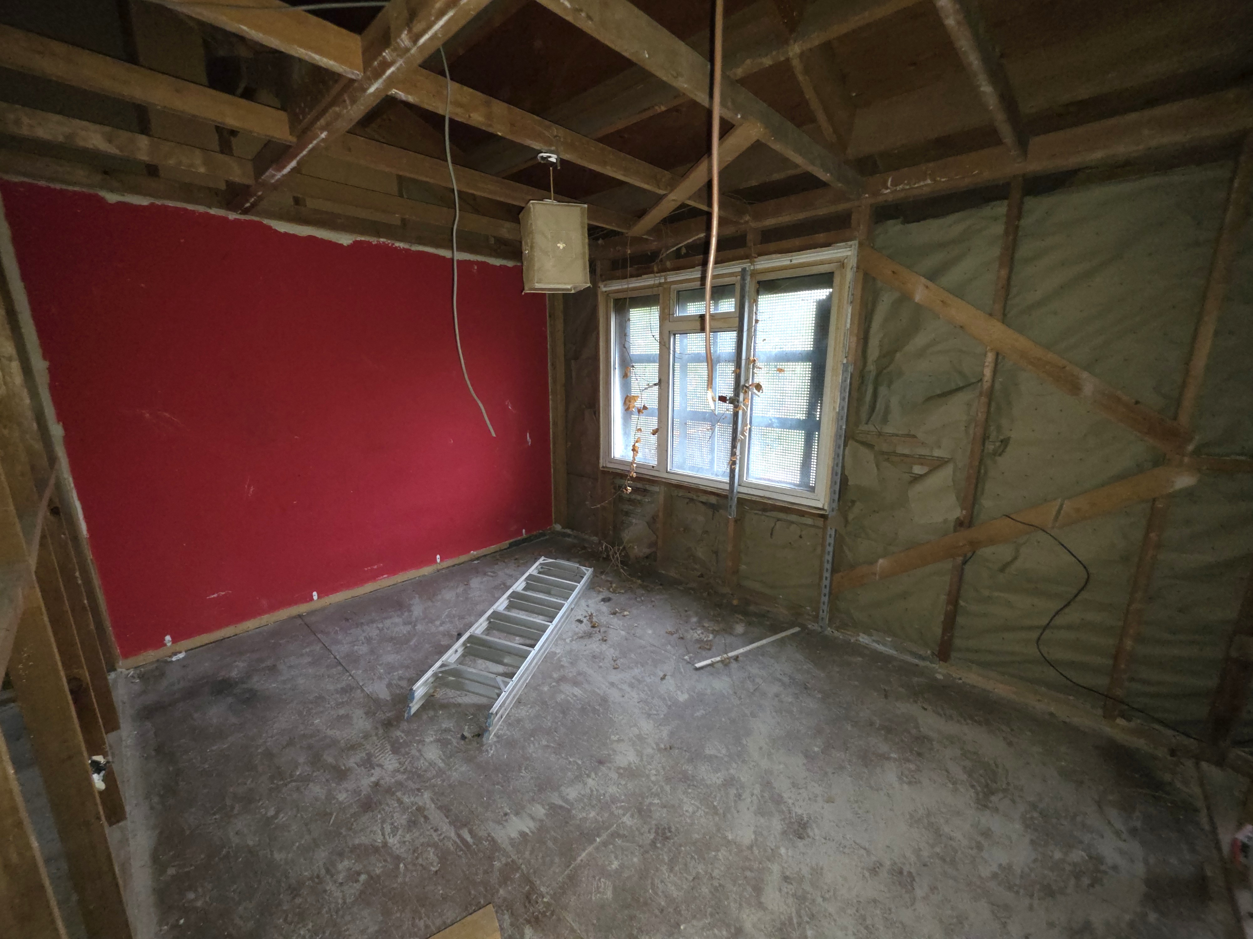 Image 8 of 11