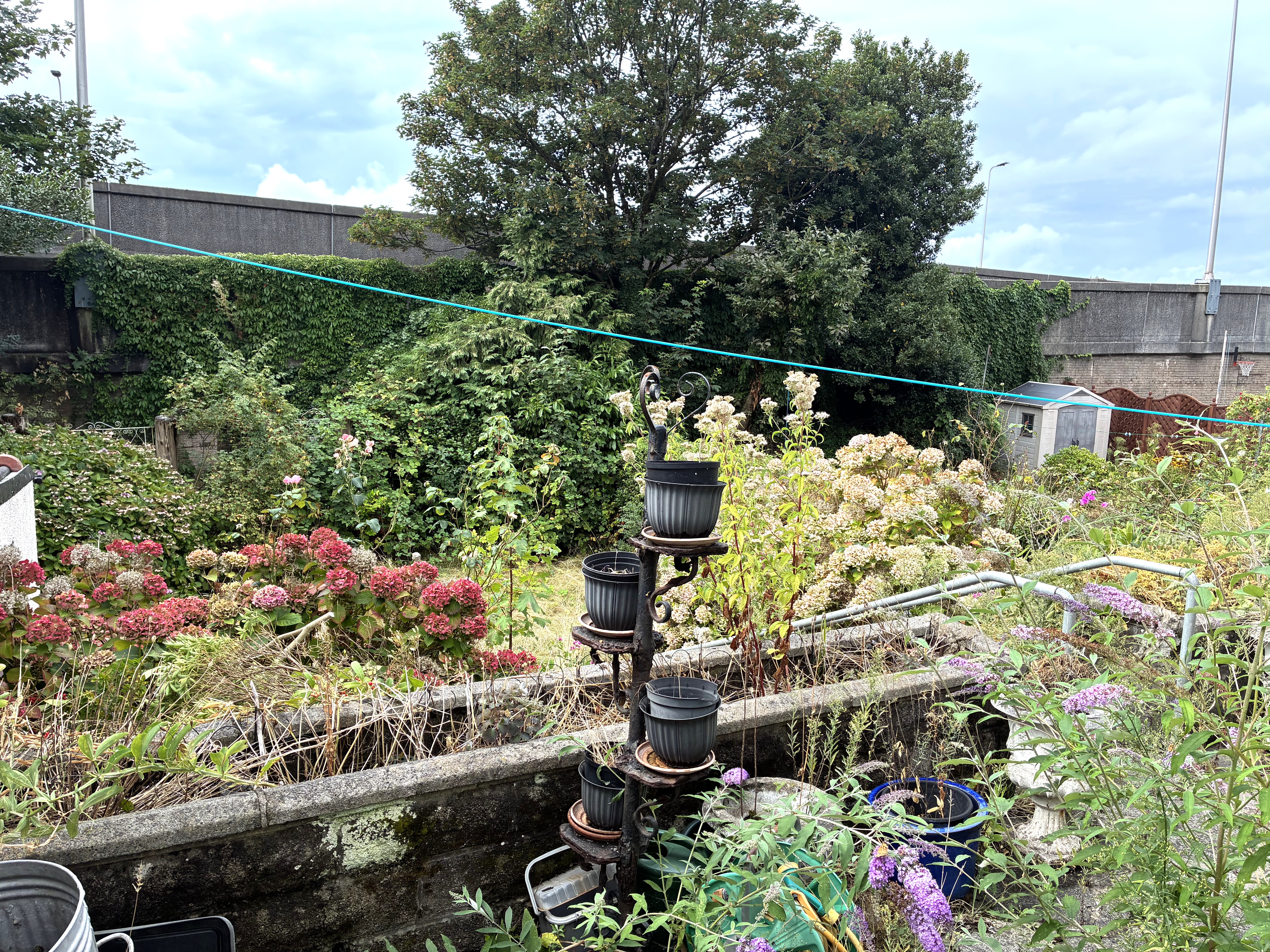 Image 11 of 12