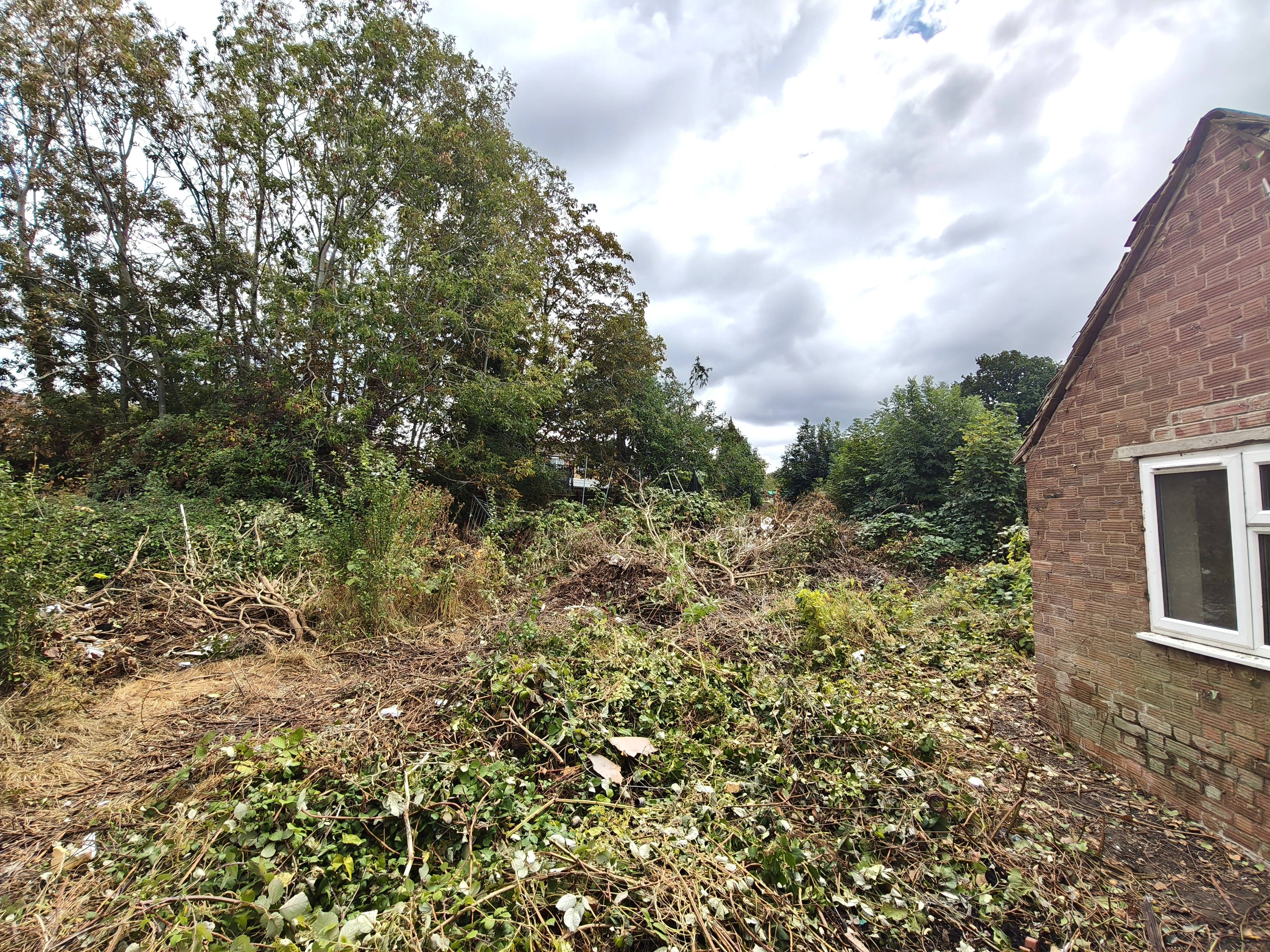 Image 12 of 12