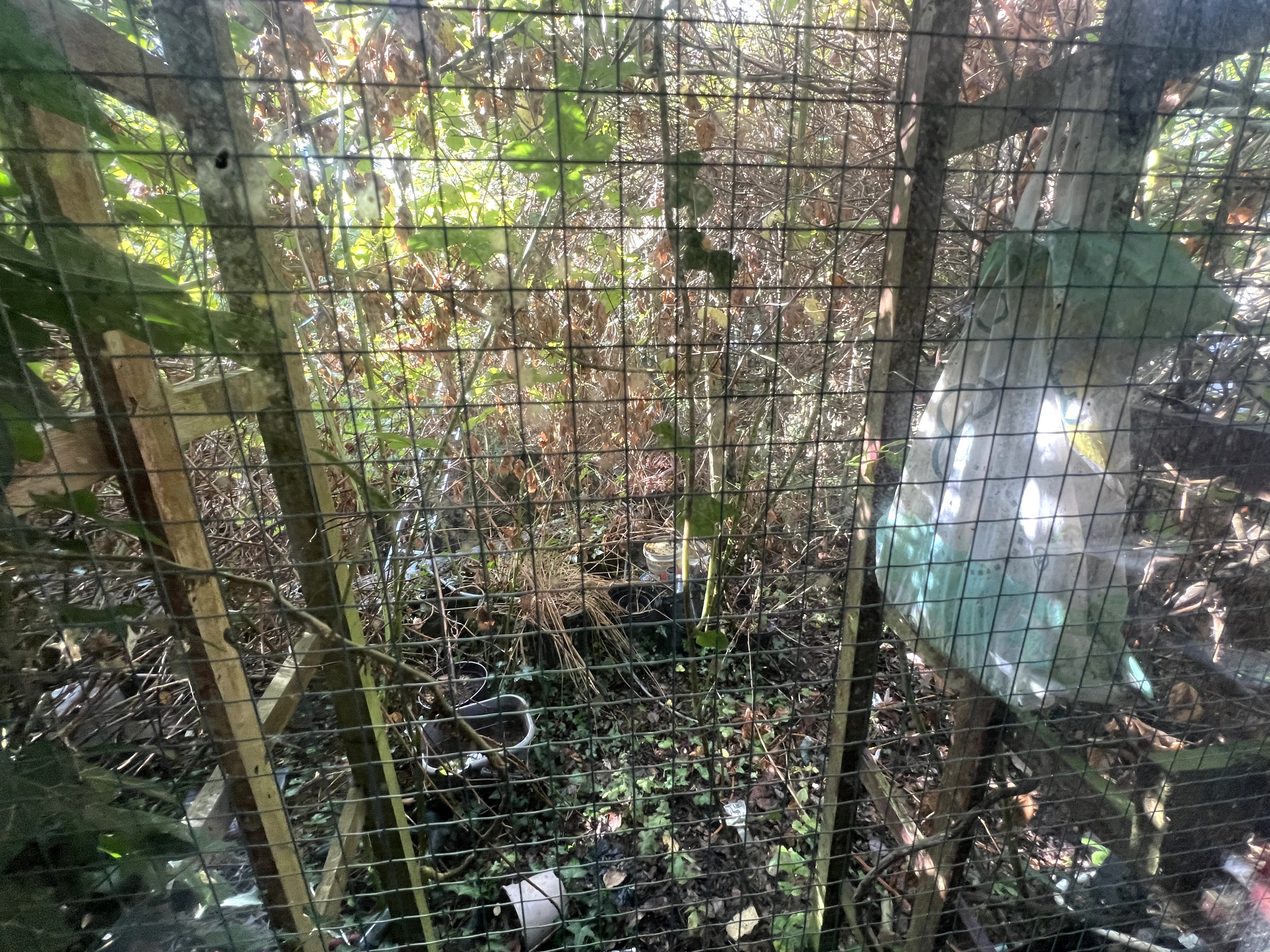 Image 12 of 12