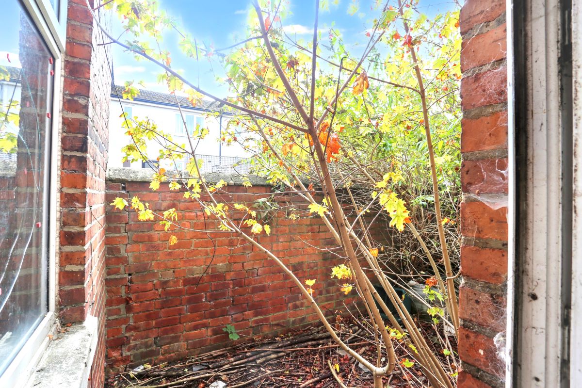 Image 10 of 11