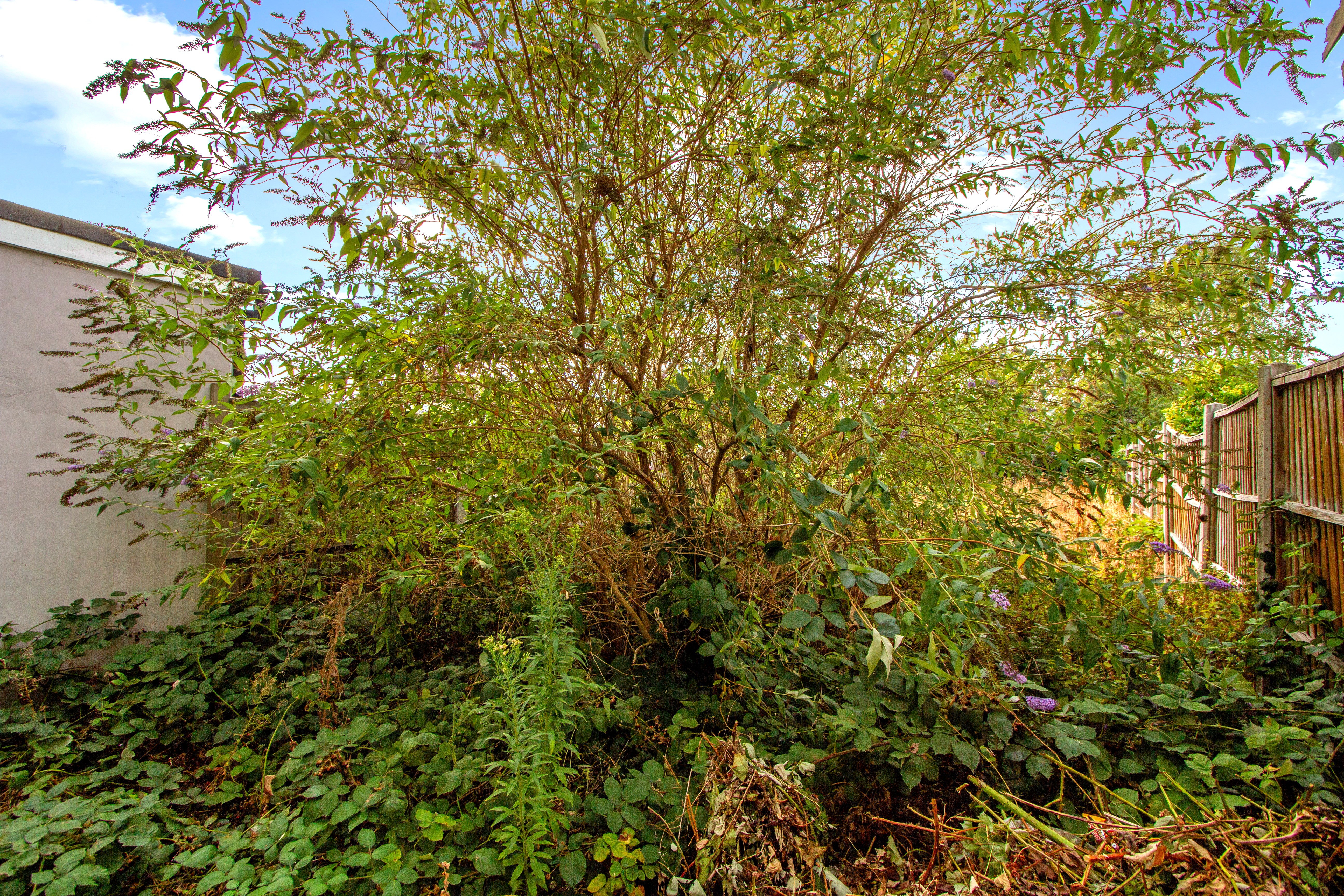 Image 12 of 14