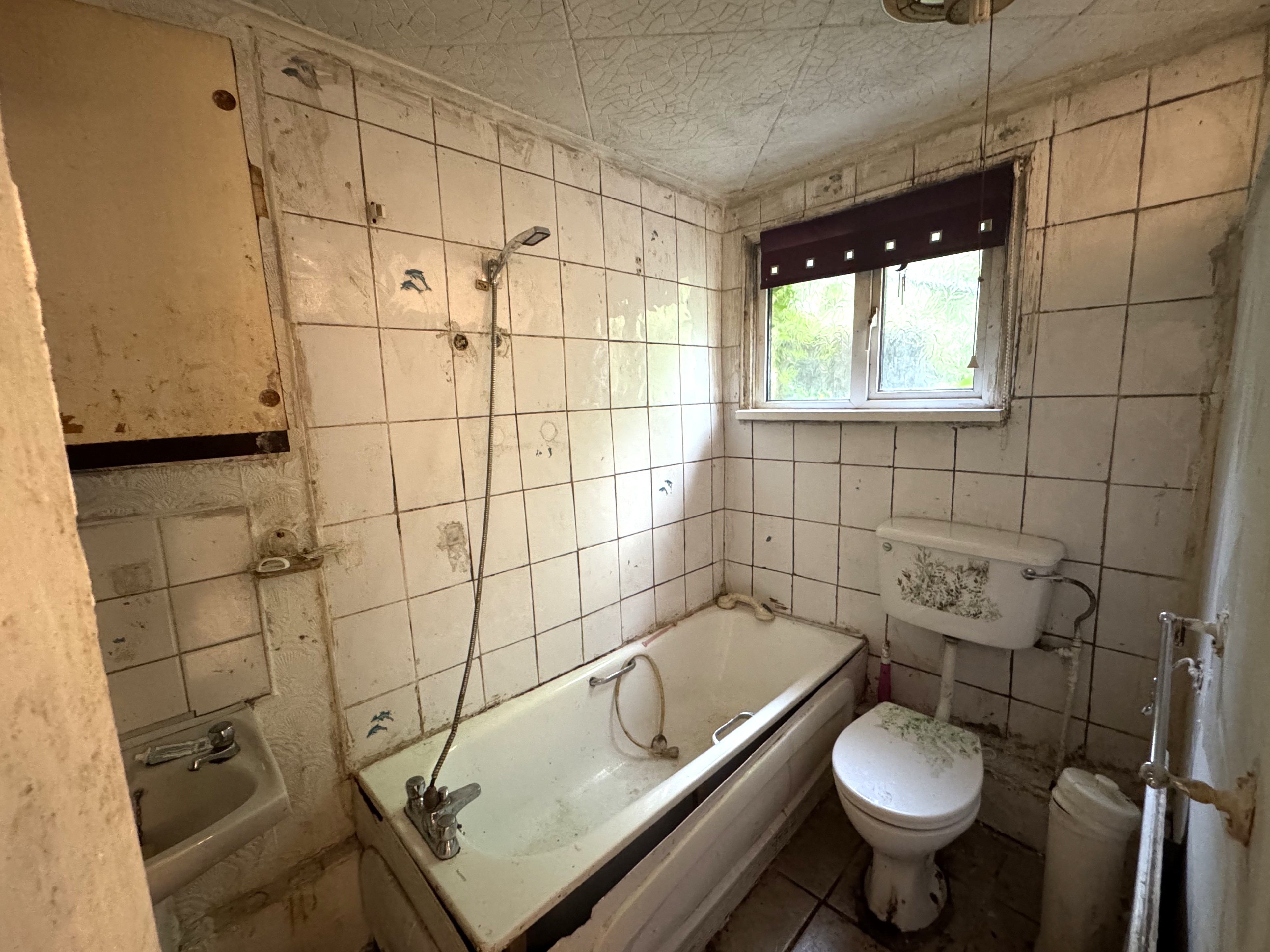 Image 10 of 11