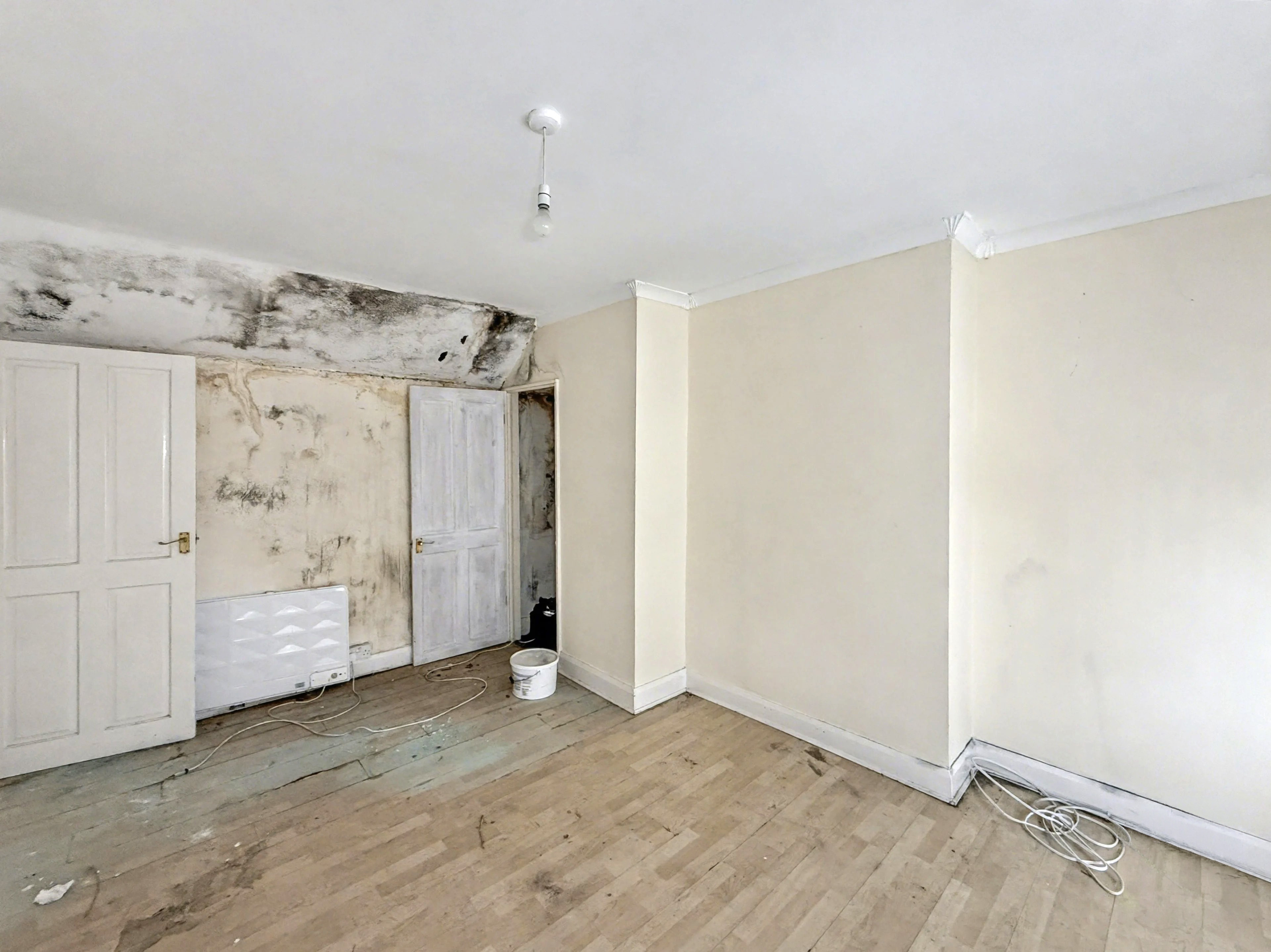 Image 8 of 11