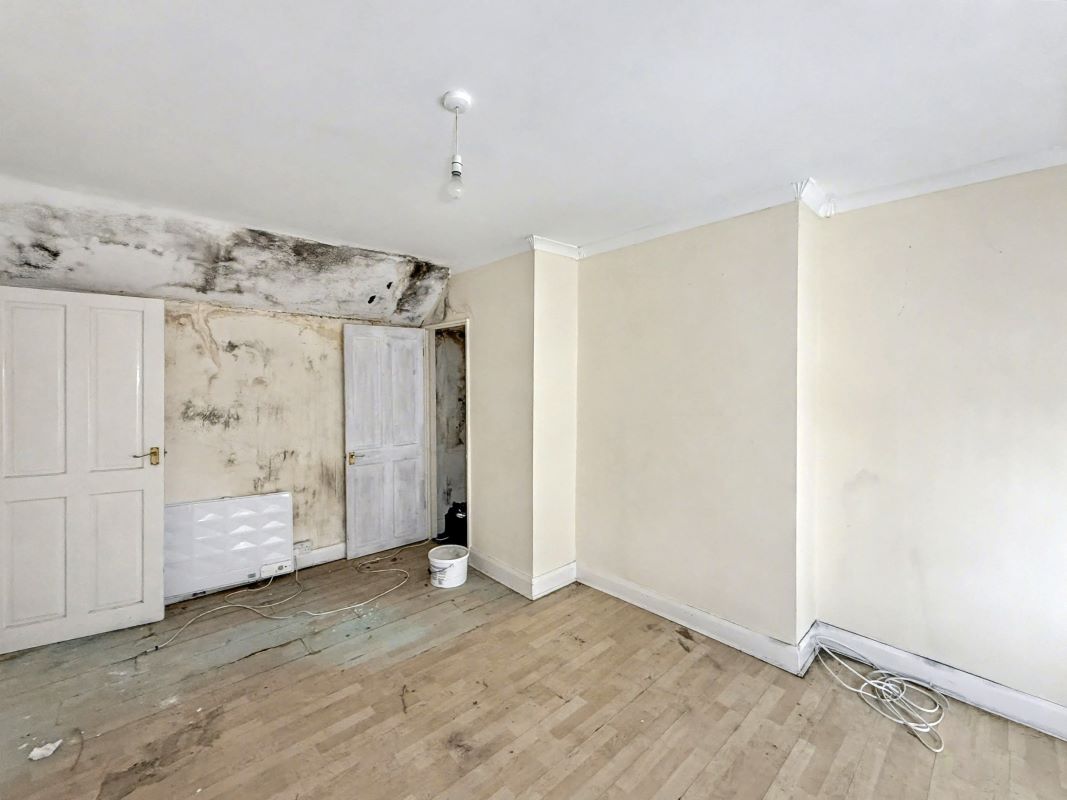 Image 8 of 11